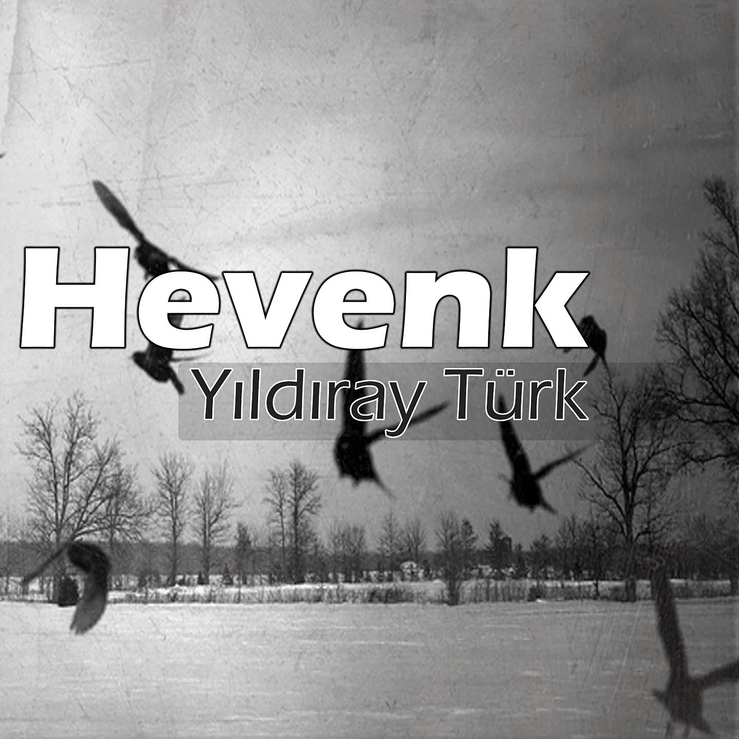 Постер альбома Hevenk 