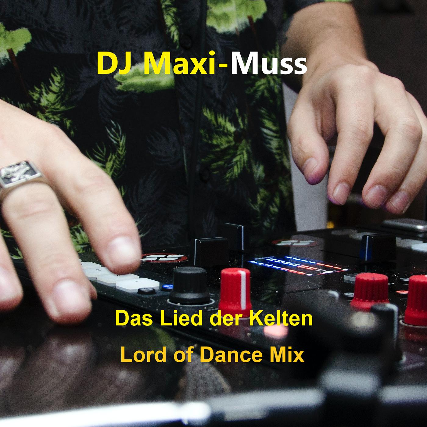 Постер альбома Das Lied Der Kelten ( Lord of Dance Mix )