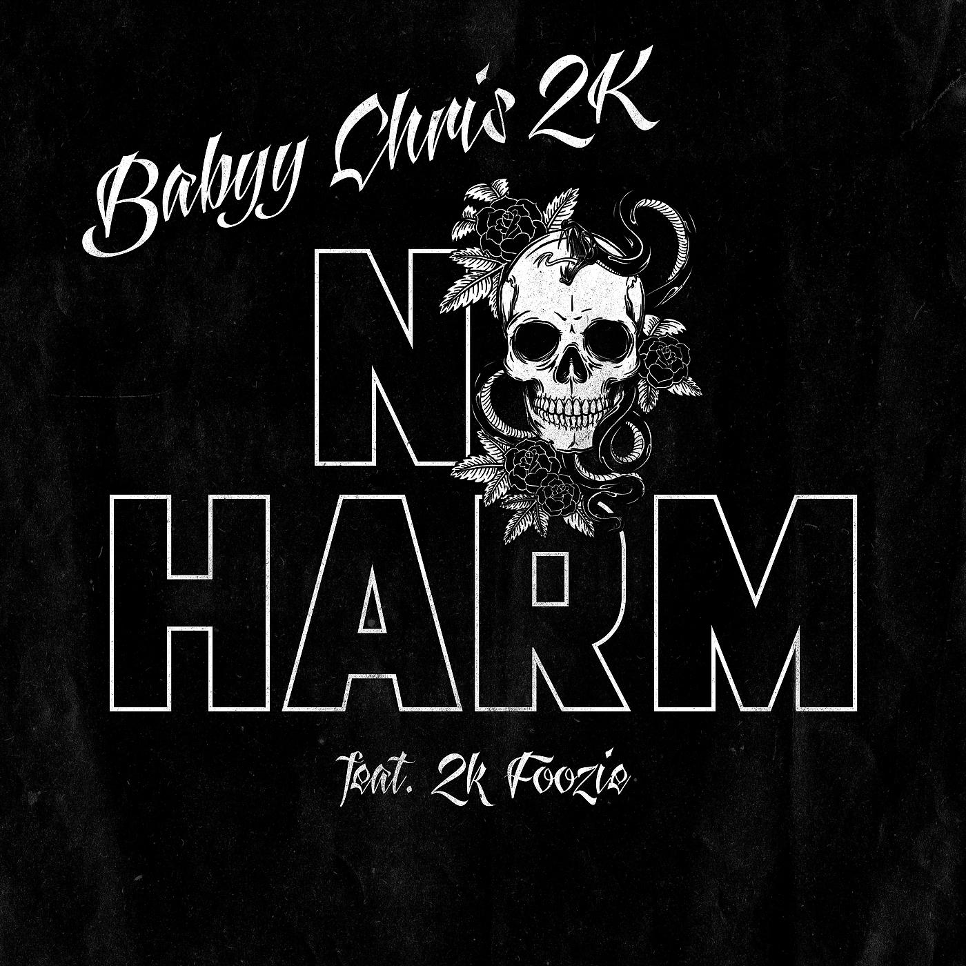 Постер альбома No Harm