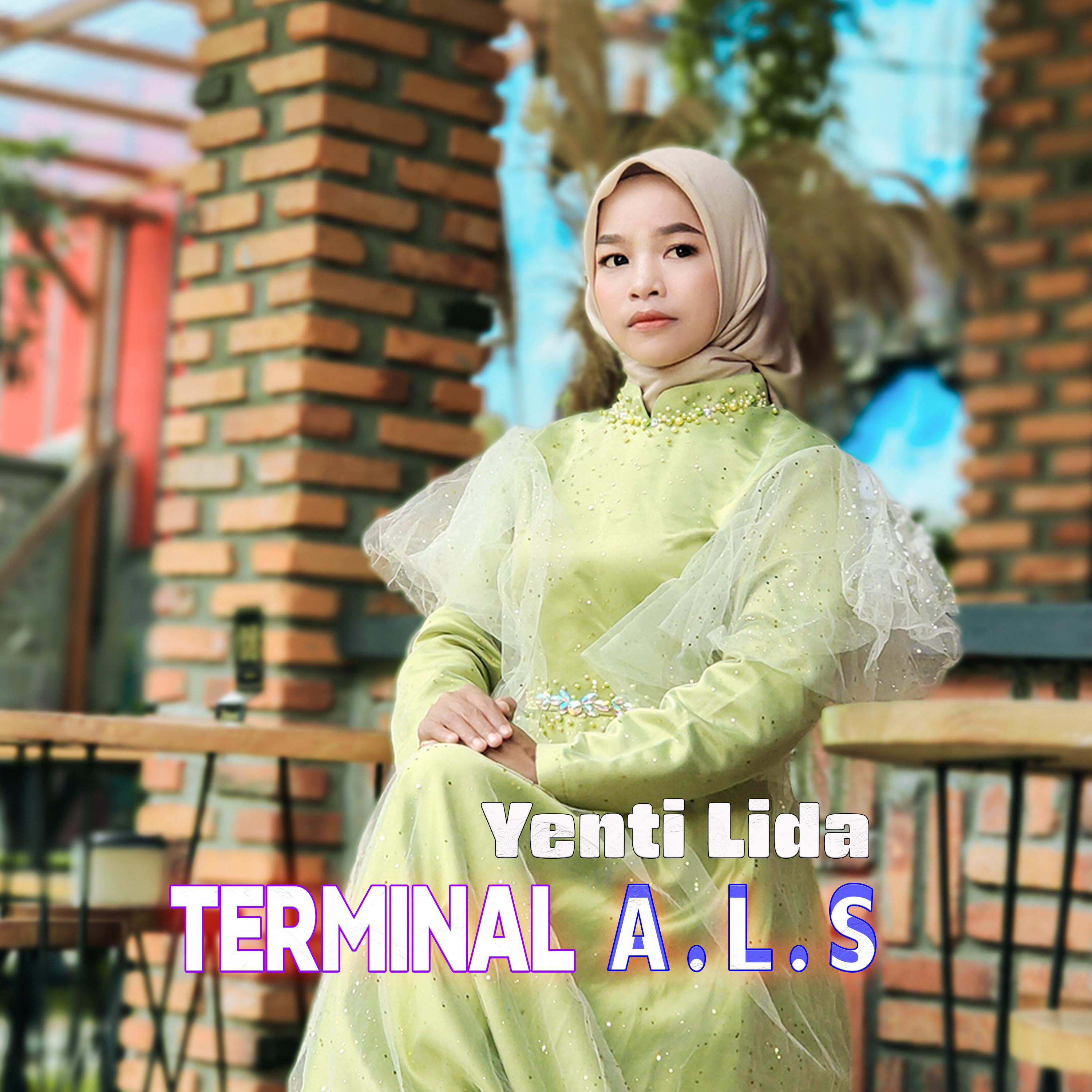 Постер альбома Terminal ALS