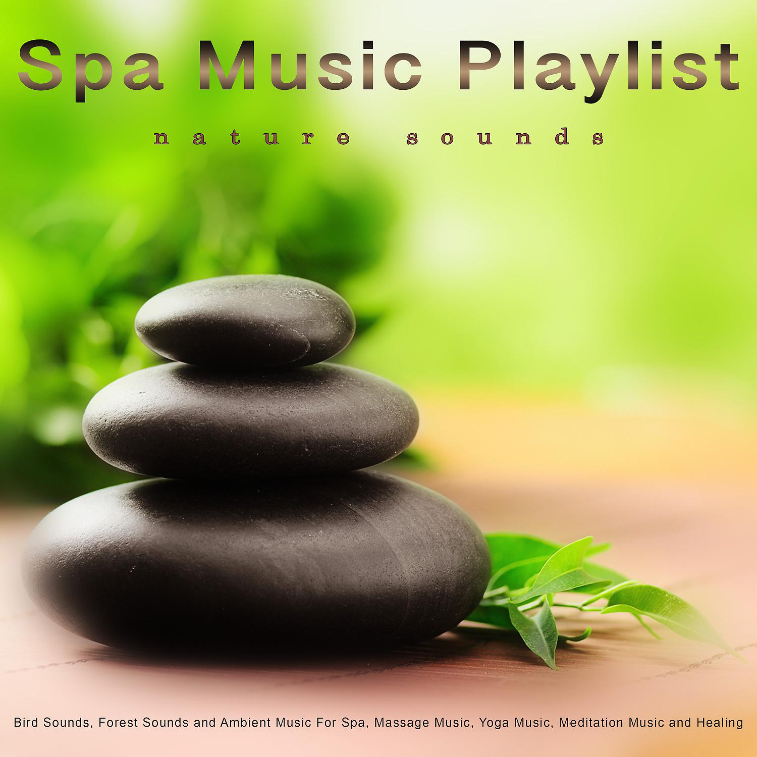Постер альбома Spa Music Playlist: Bird Sounds, Forest Sounds, Nature Sounds and Ambient Music For Spa, Massage Music, Yoga Music, Meditation Music, Healing, Wellness, Mindfulness and Relaxation Music