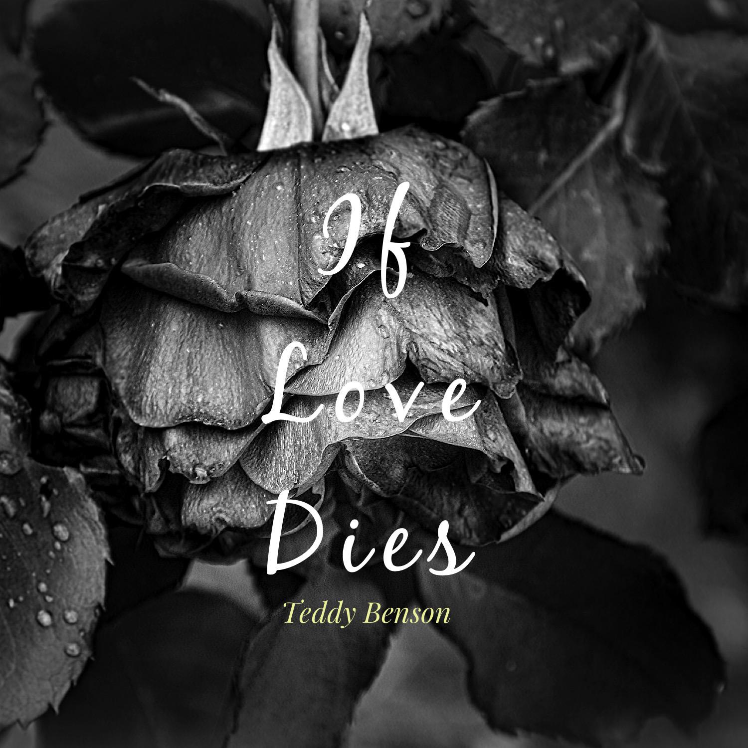 Постер альбома If Love Dies