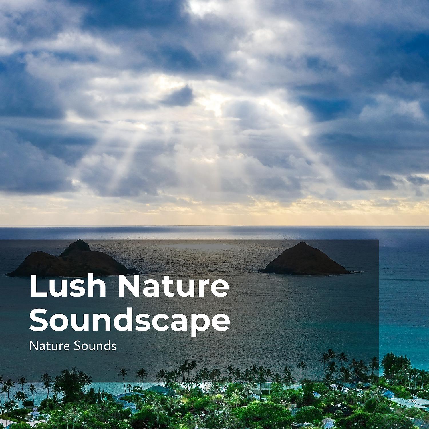 Постер альбома Lush Nature Soundscape