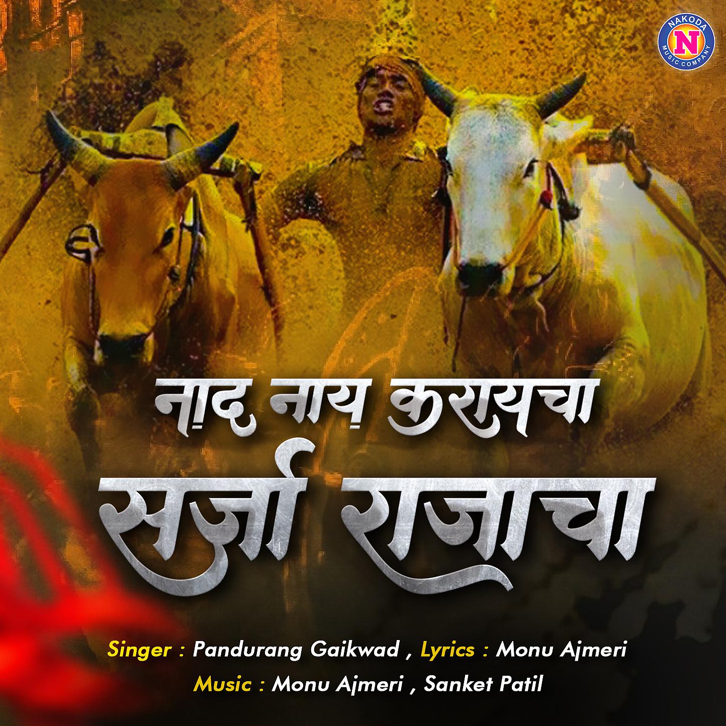 Постер альбома Nad Naay Karayacha Sarja Rajacha