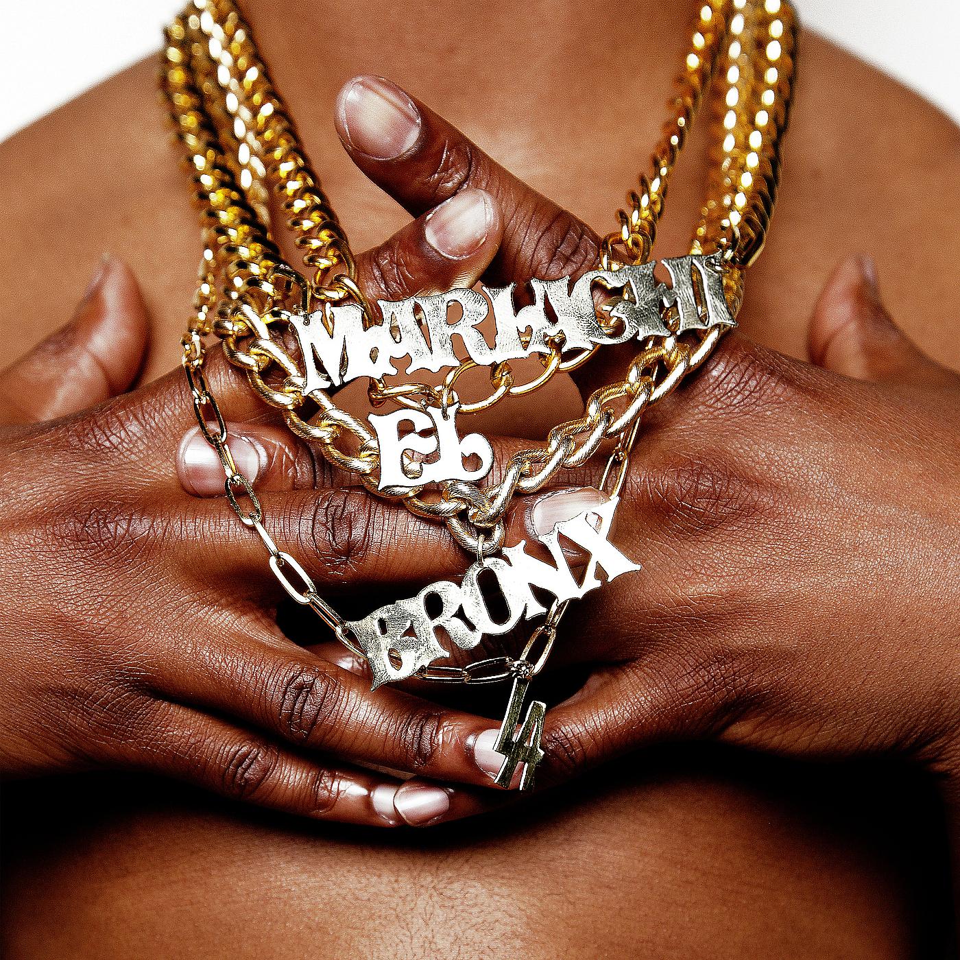 Постер альбома Mariachi El Bronx (II)