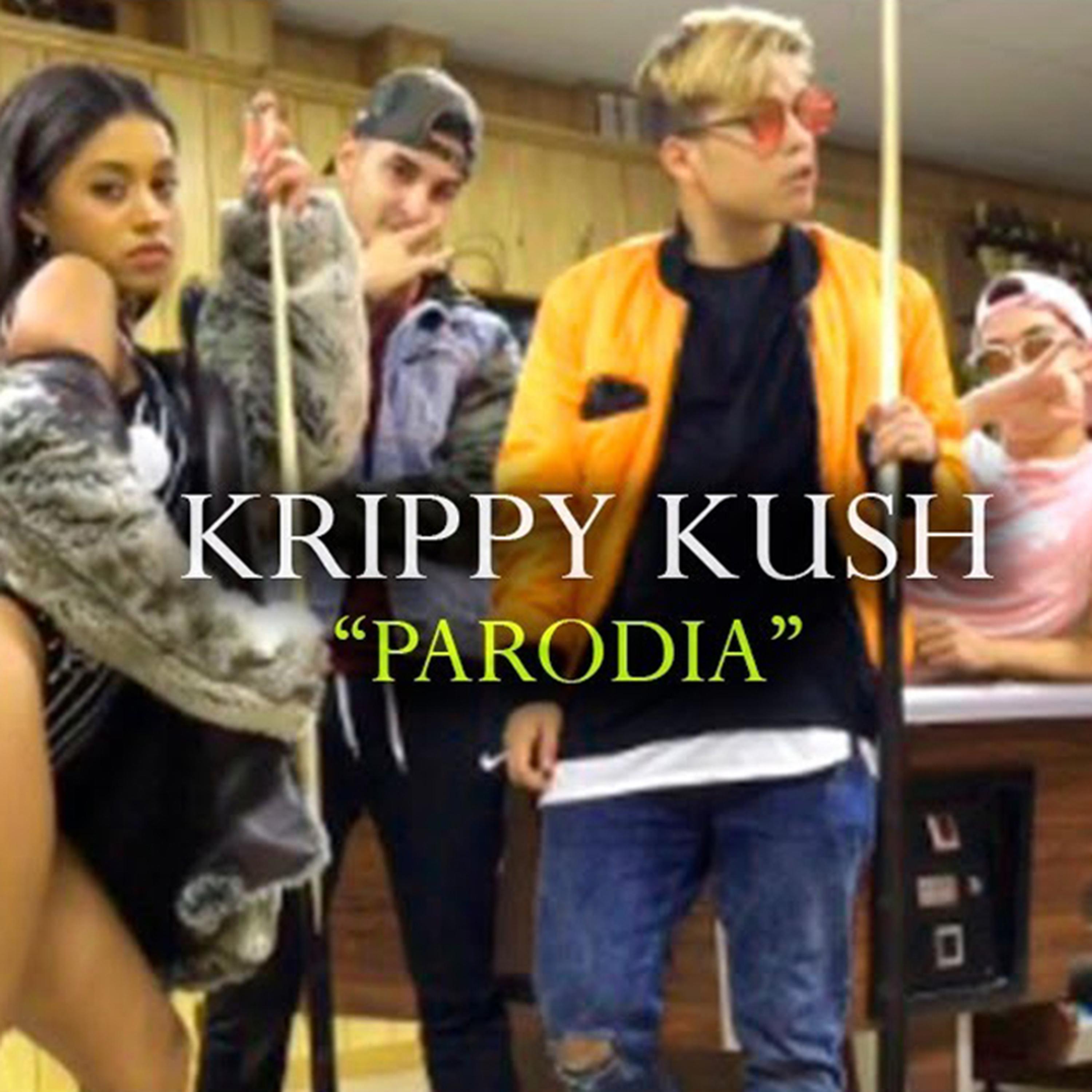Постер альбома Krippy Kush (Parodia)