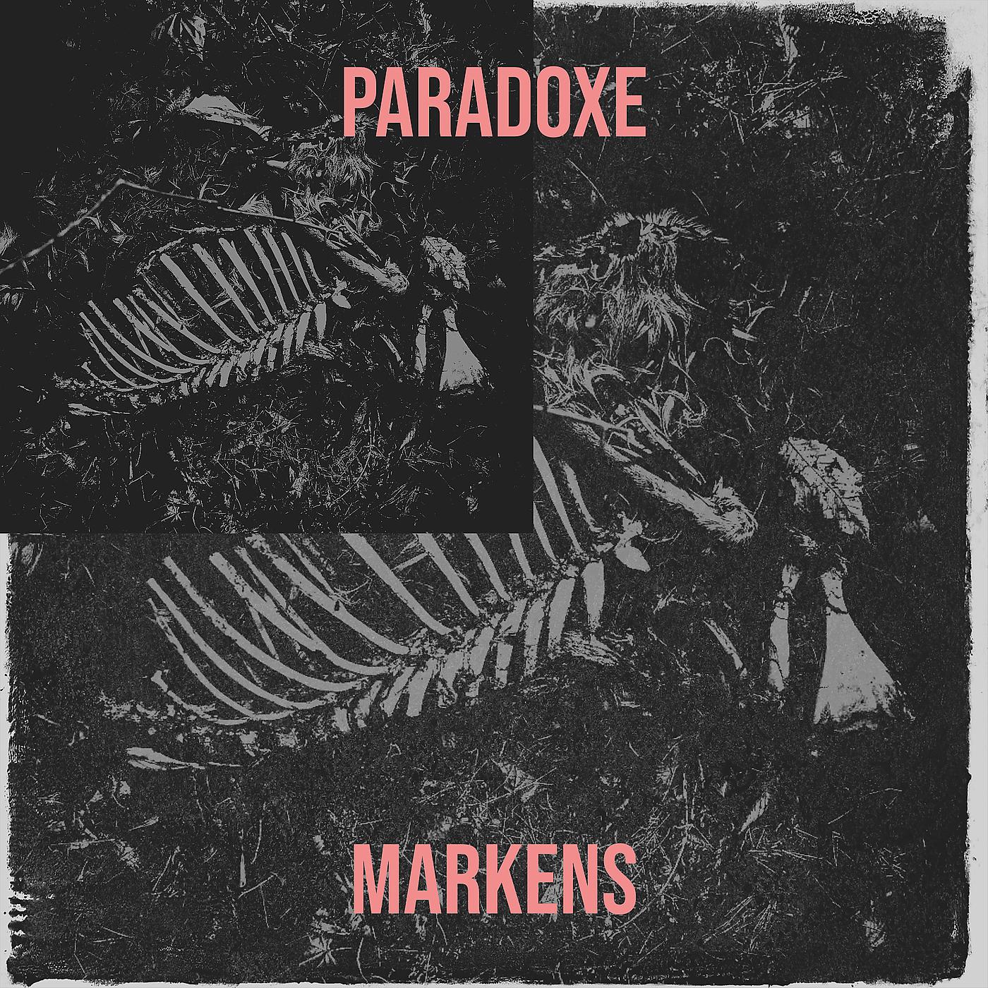 Постер альбома Paradoxe