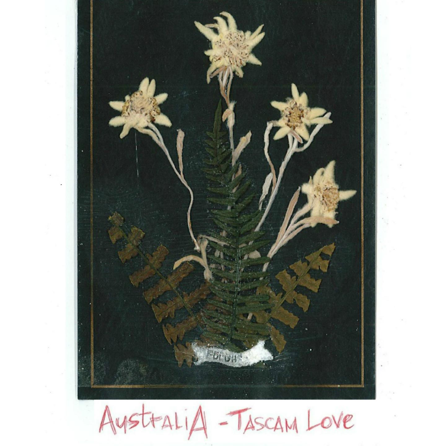 Постер альбома Tascam Love
