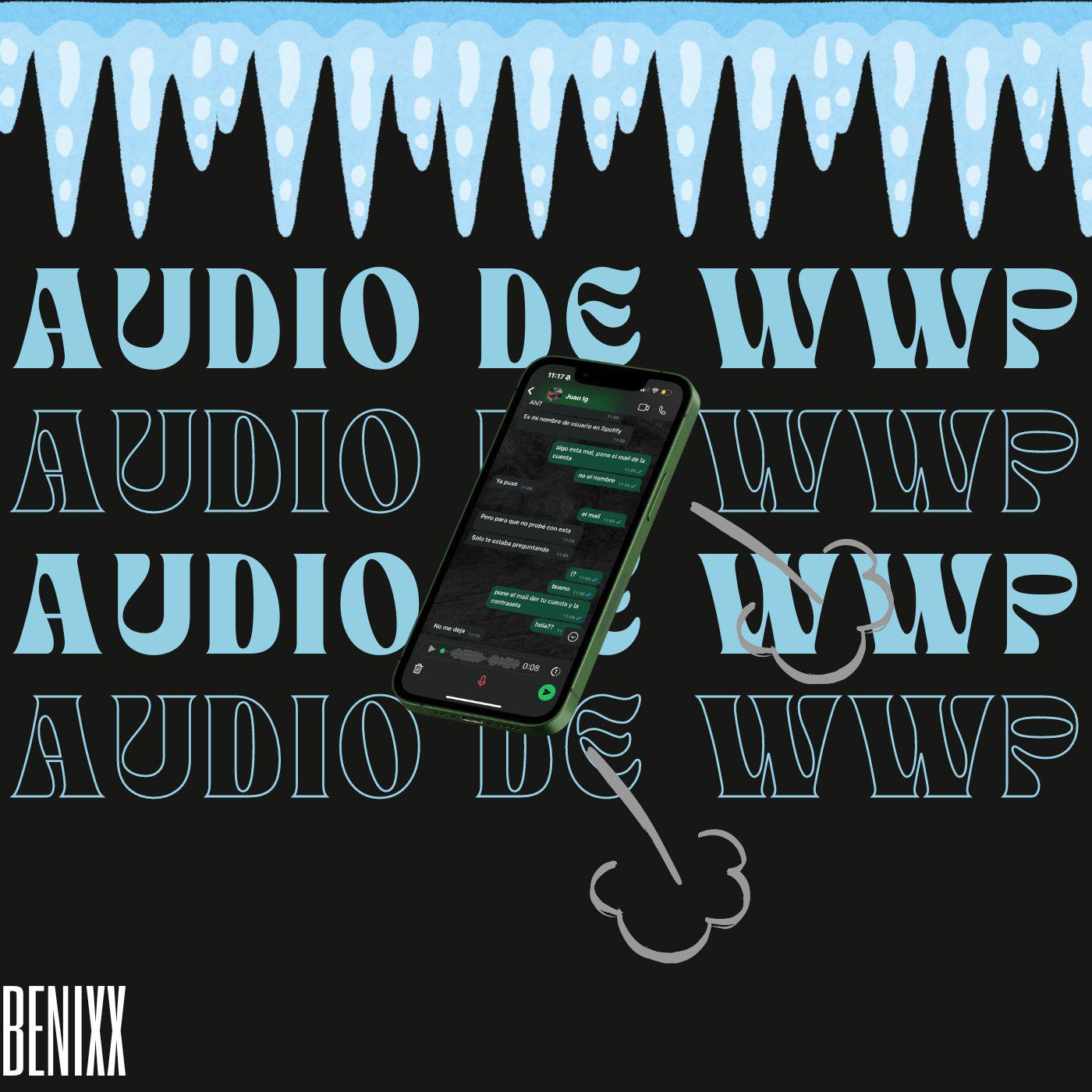 Постер альбома Audio De Wpp