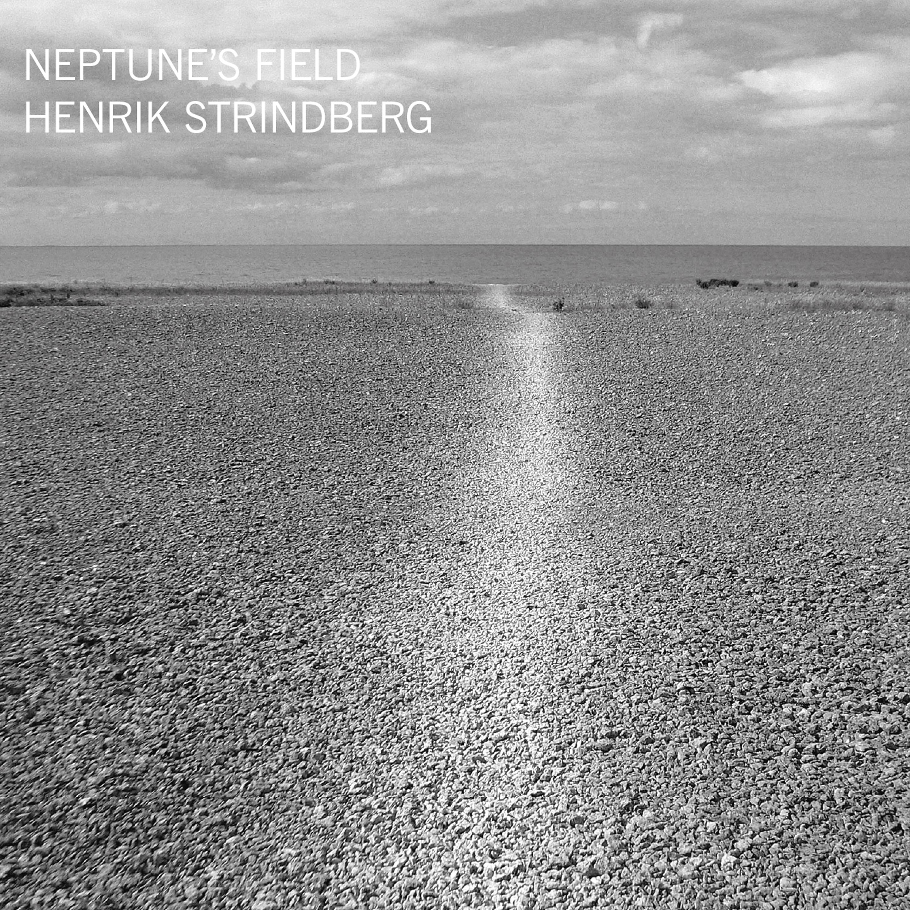 Постер альбома Neptune's Field