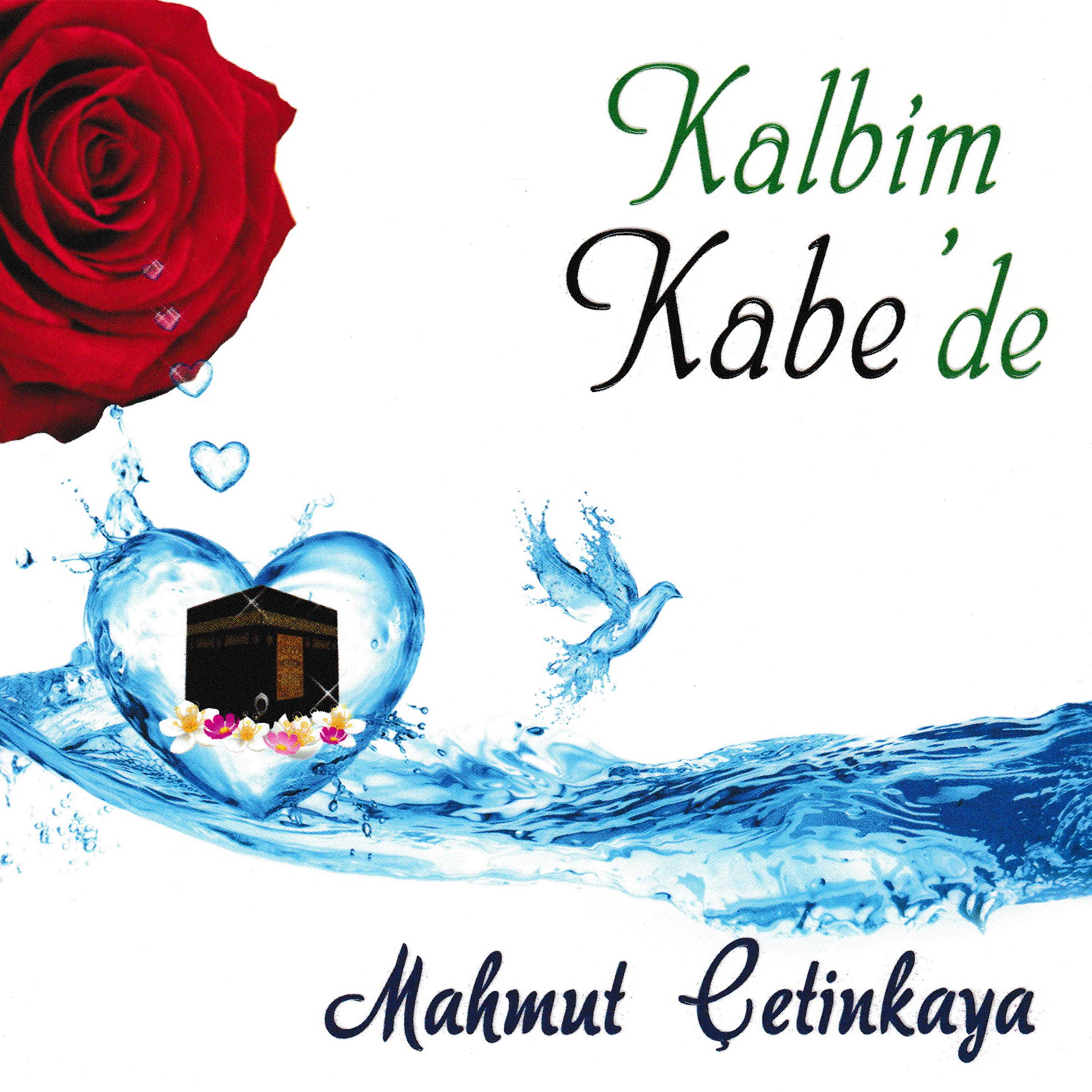 Постер альбома Kalbim Kabe'de