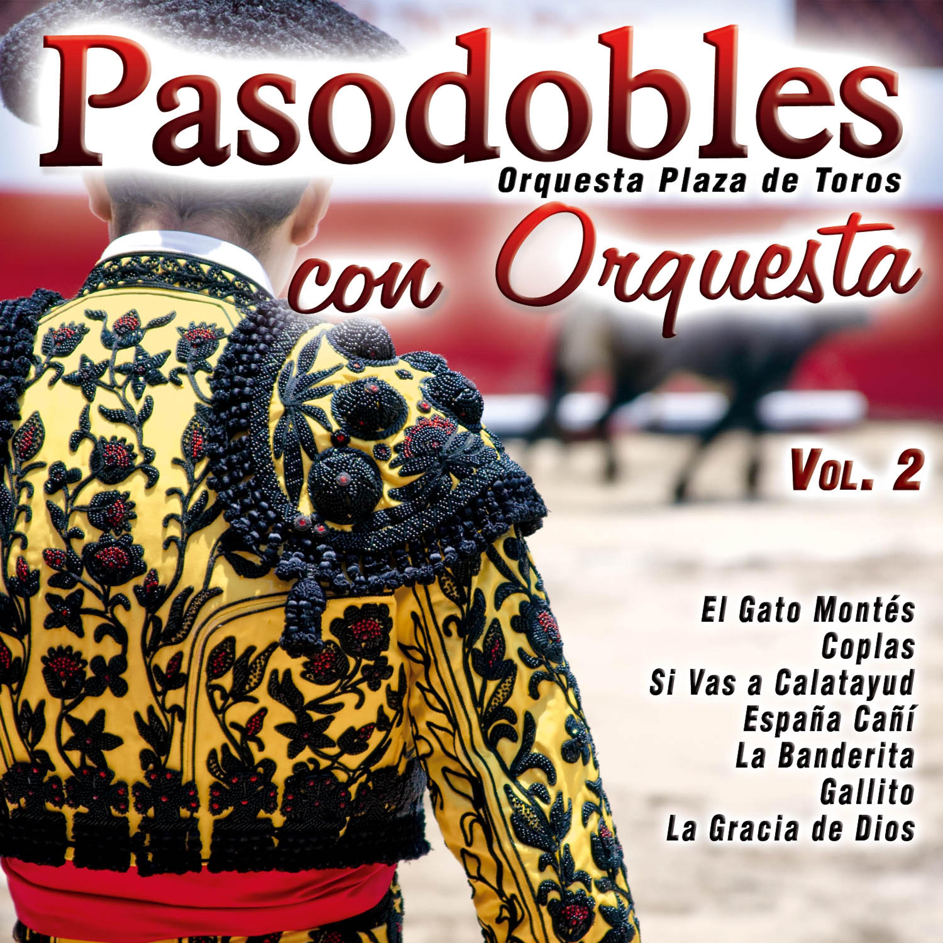 Постер альбома Pasodobles Con Orquesta Vol. 2