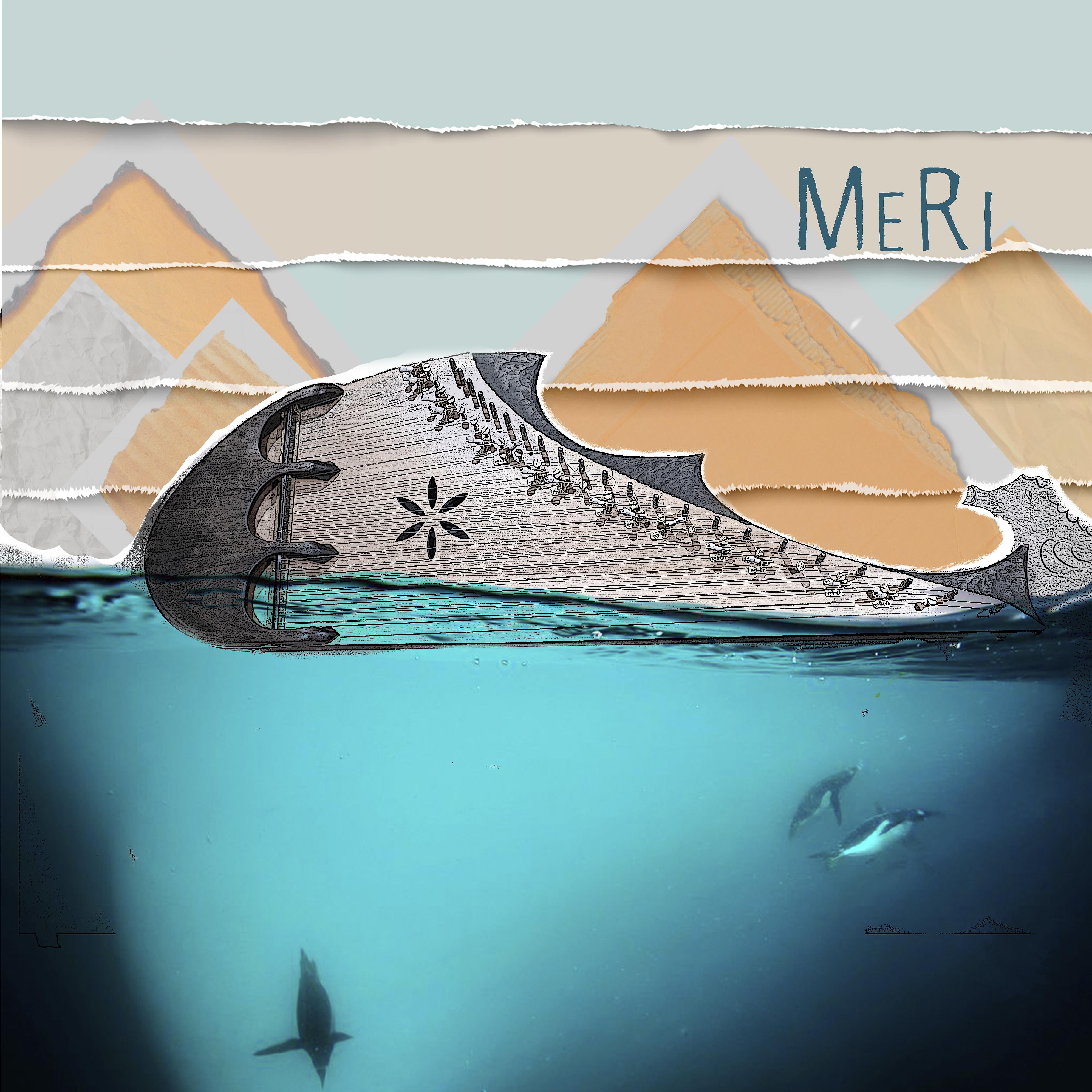 Постер альбома Meri