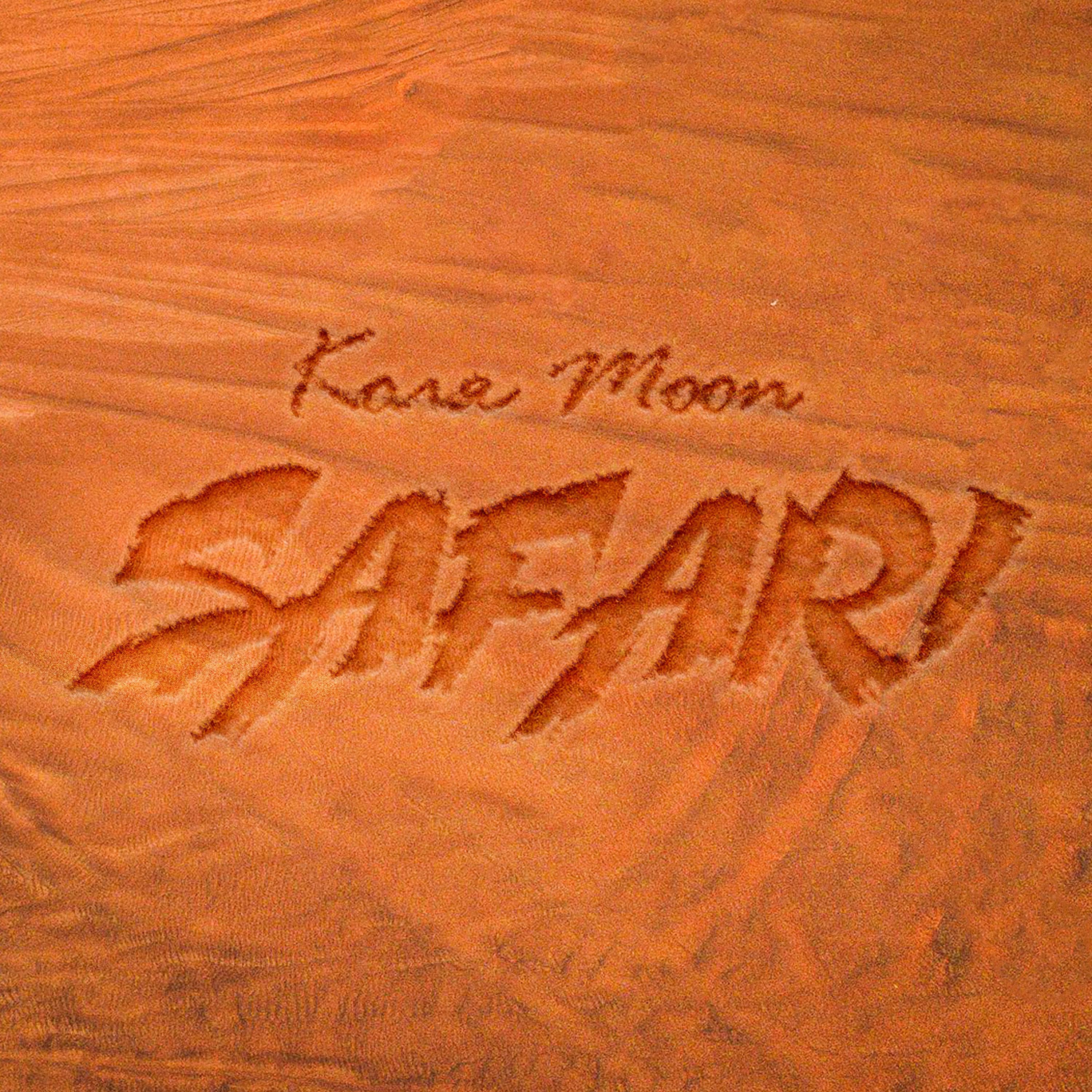 Постер альбома Сафари