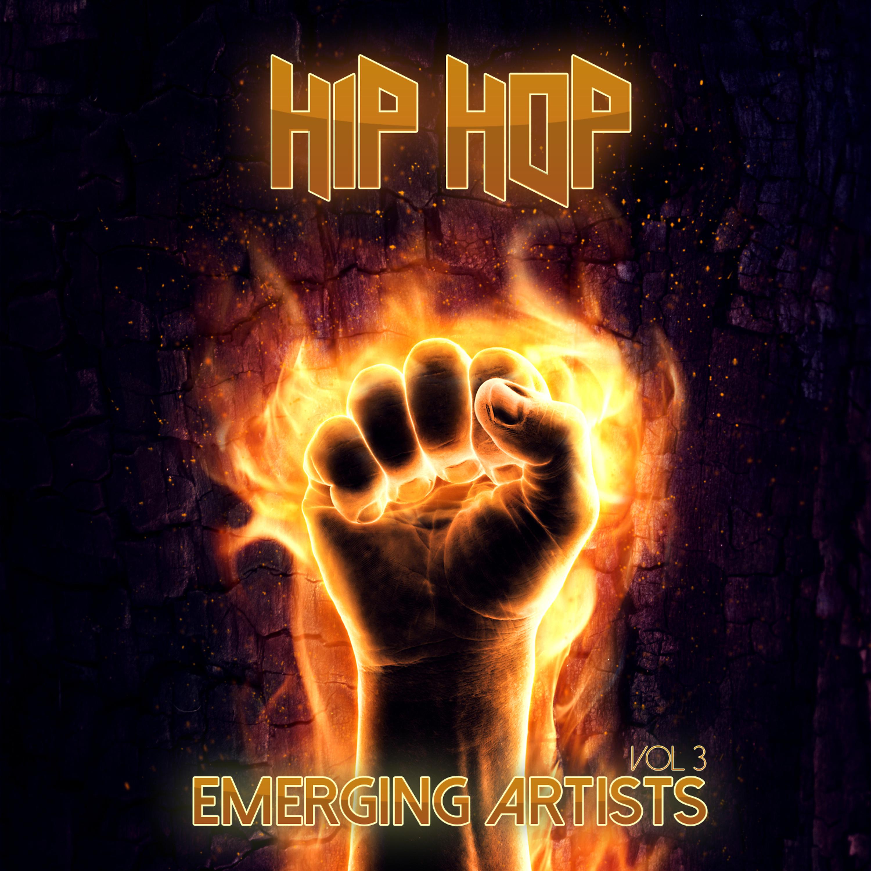 Постер альбома Emerging Artists: Hip Hop, Vol. 3