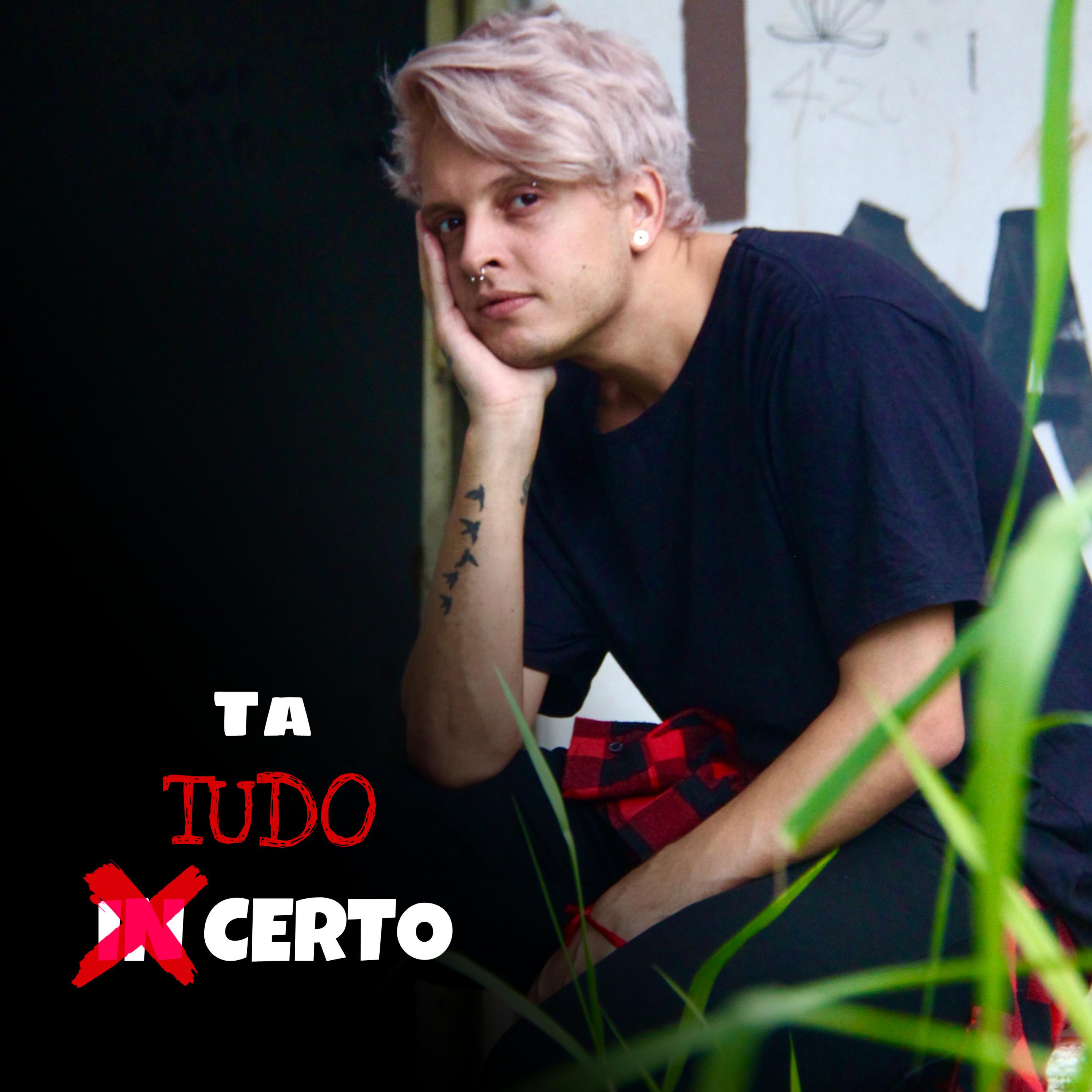Постер альбома Ta Tudo Certo