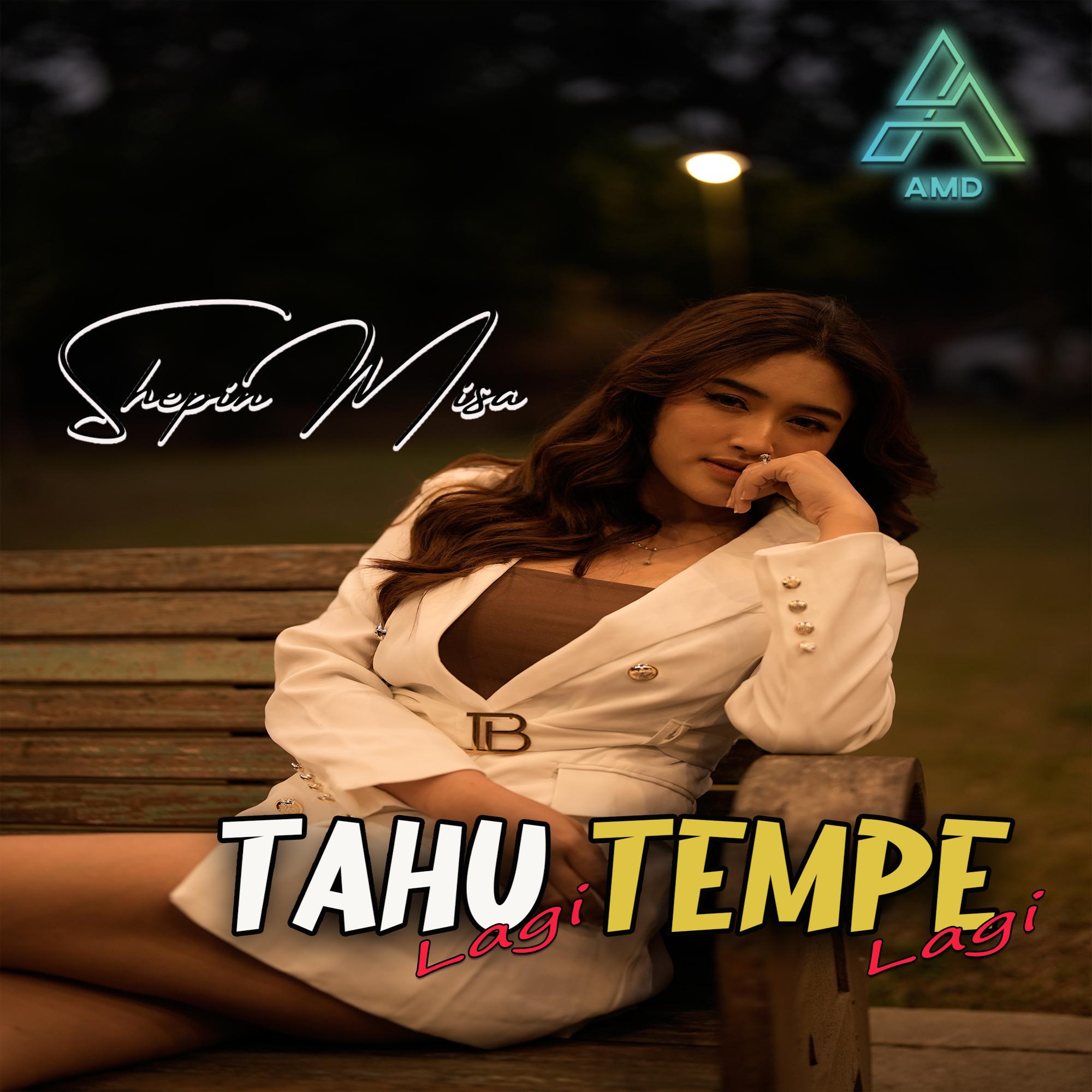 Постер альбома Tahu Lagi Tempe Lagi