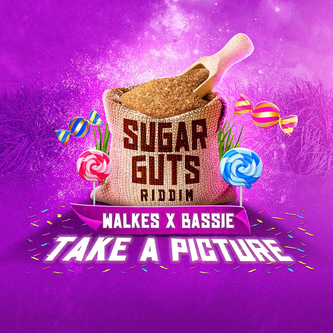 Постер альбома Take a Picture (Sugar Guts Riddim)