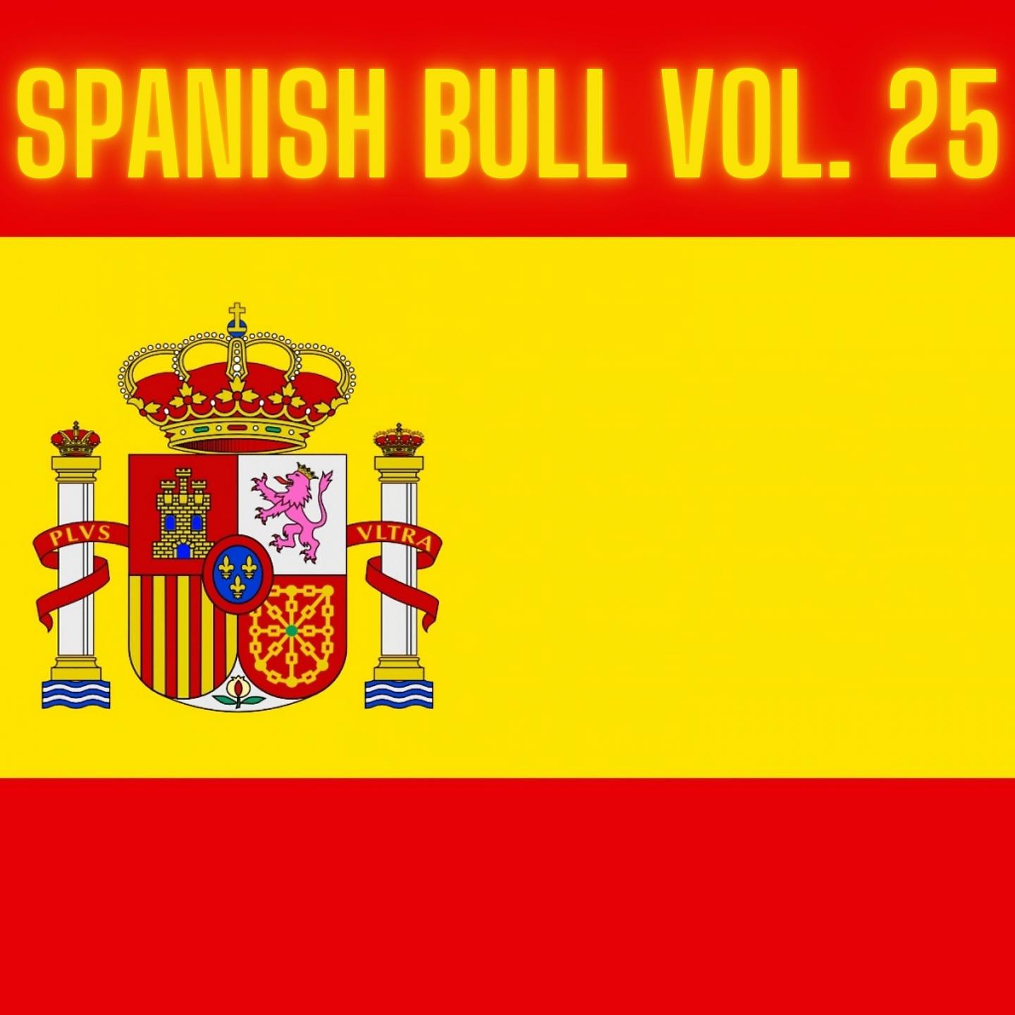 Постер альбома Spanish Bull Vol. 25