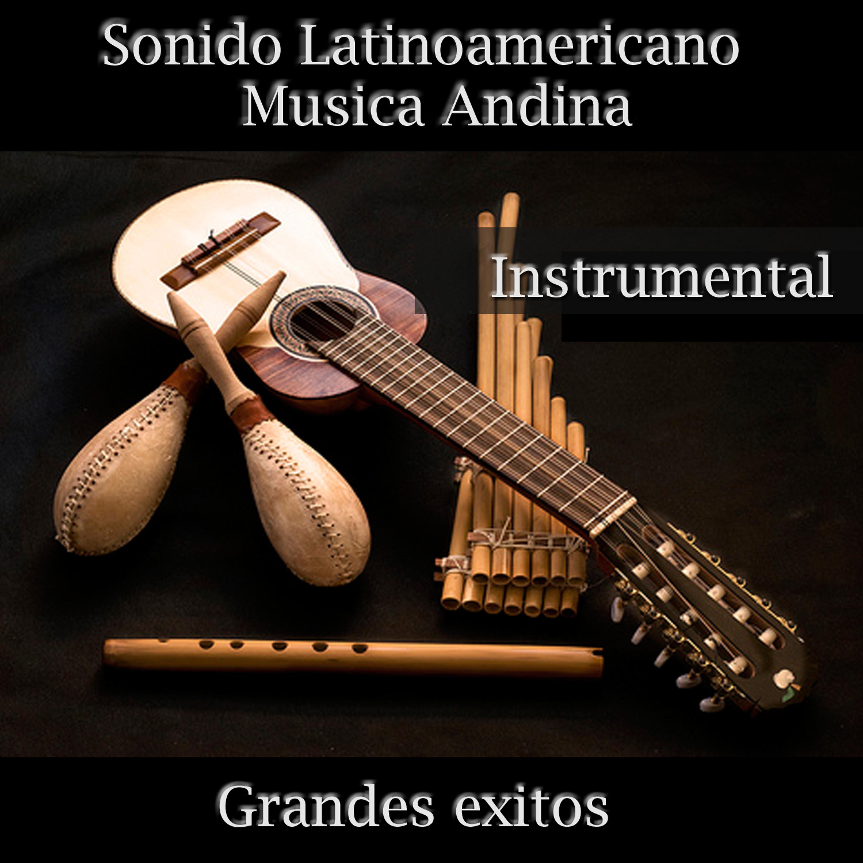Постер альбома Sonido Latinoamericano - Musica Andina Instrumental
