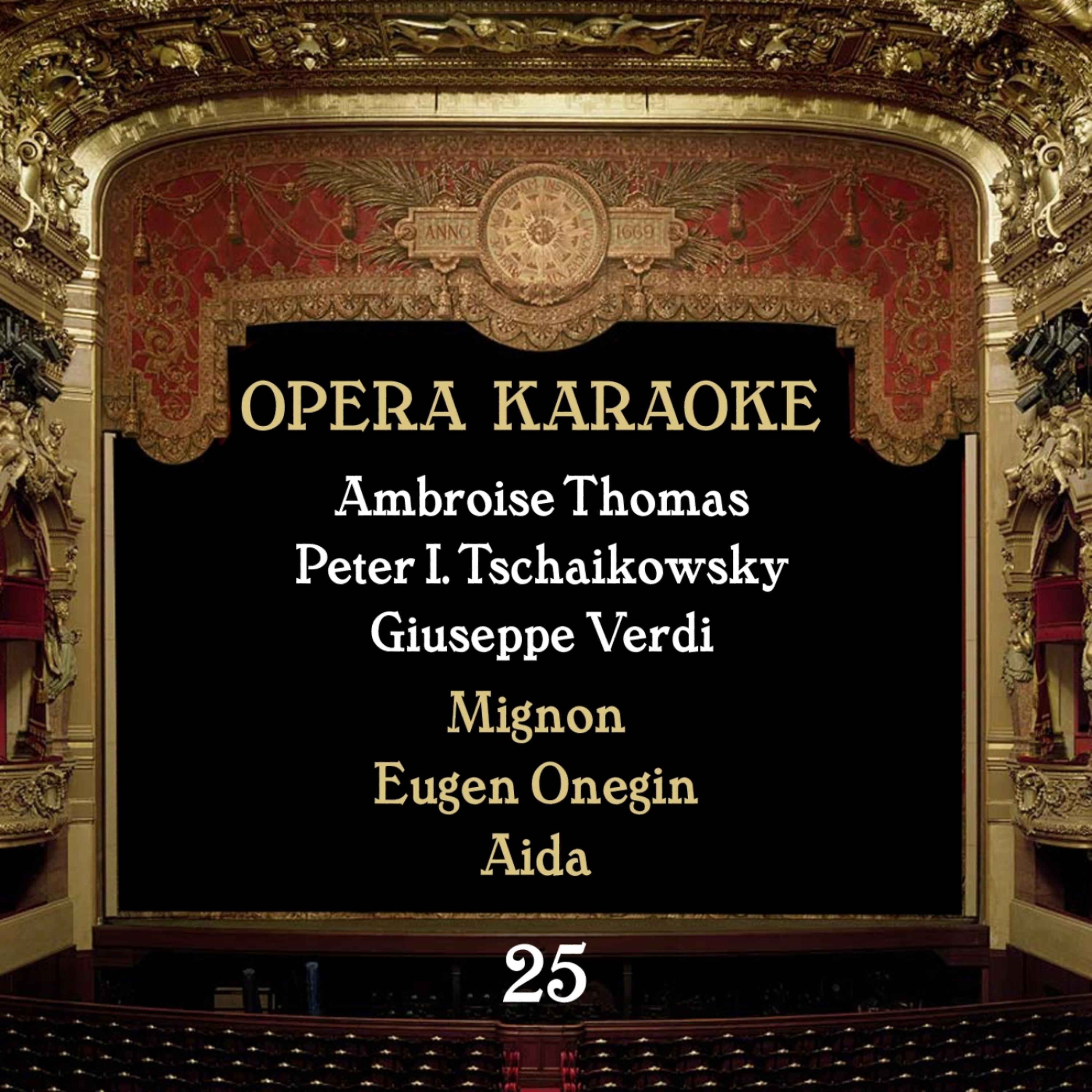 Постер альбома Opera Karaoke, Vol. 25 [Ambroise Thomas, Peter I. Tschaikowsky, Giuseppe Verdi ]