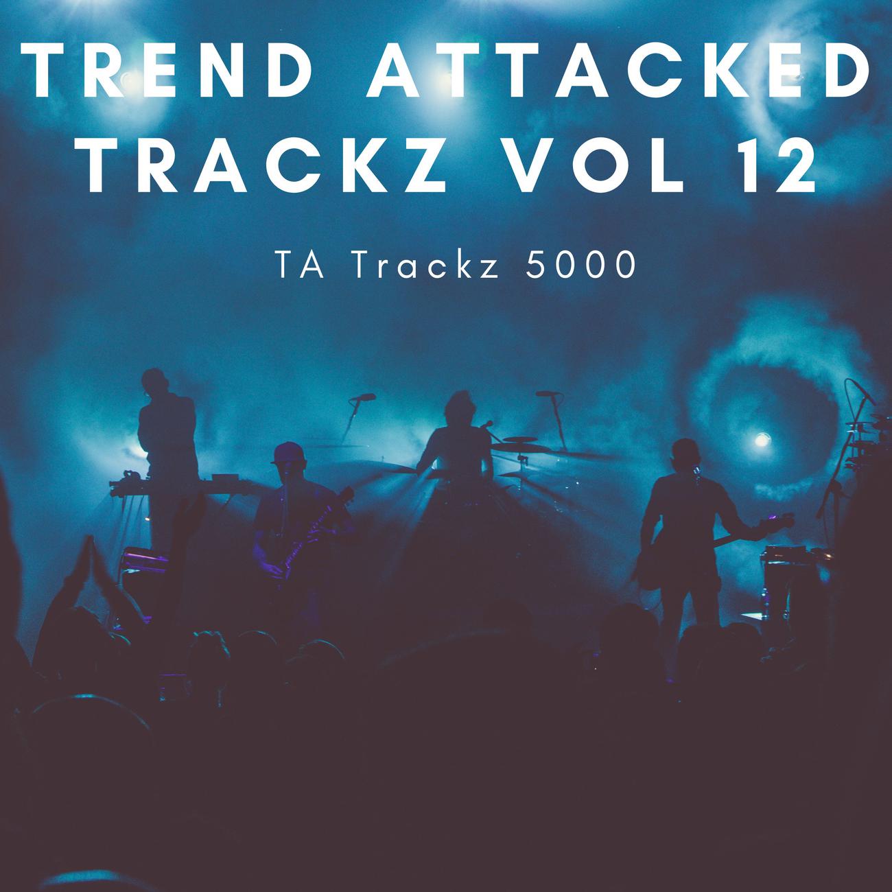 Постер альбома Trend Attacked Trackz Vol 12
