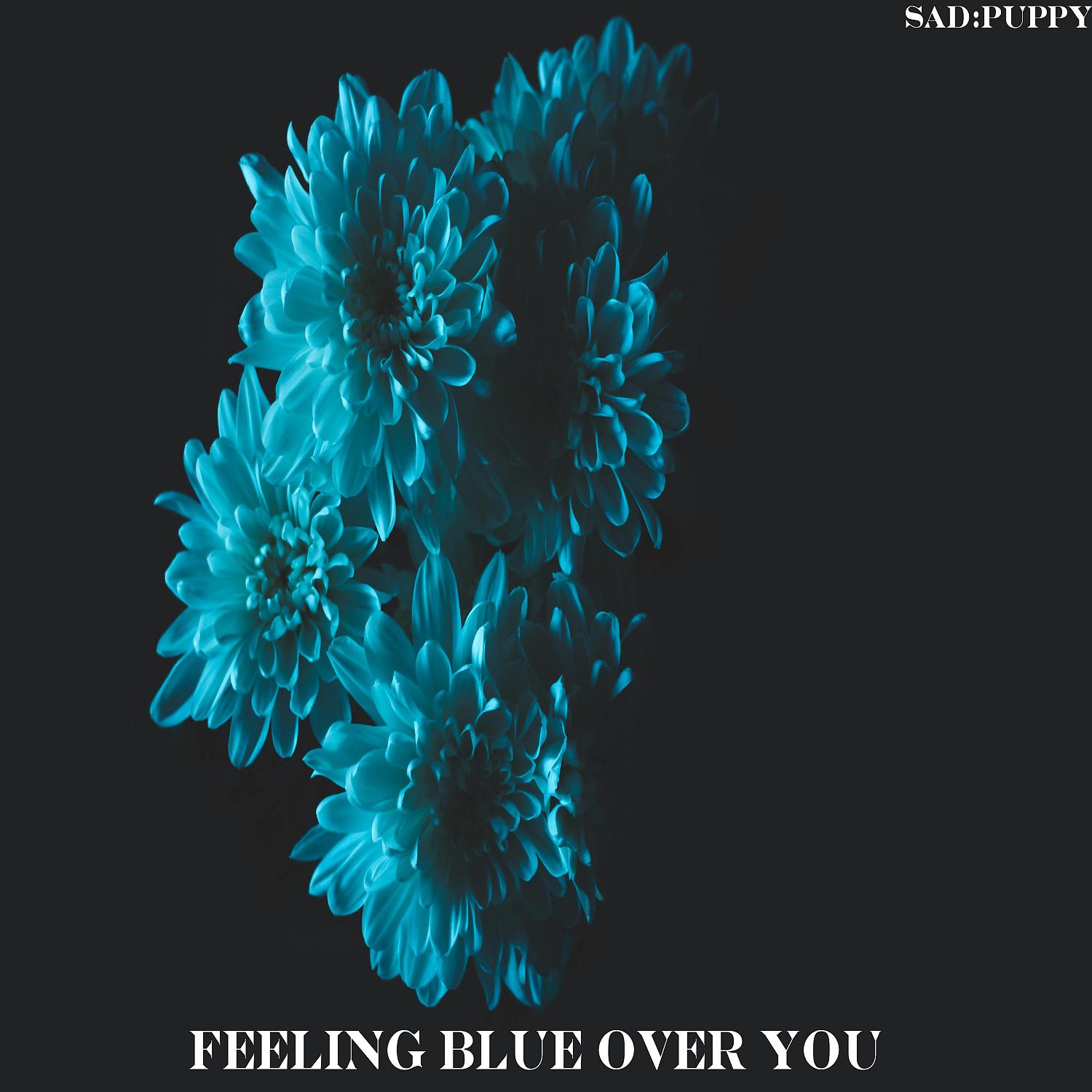 Постер альбома Feeling Blue Over You