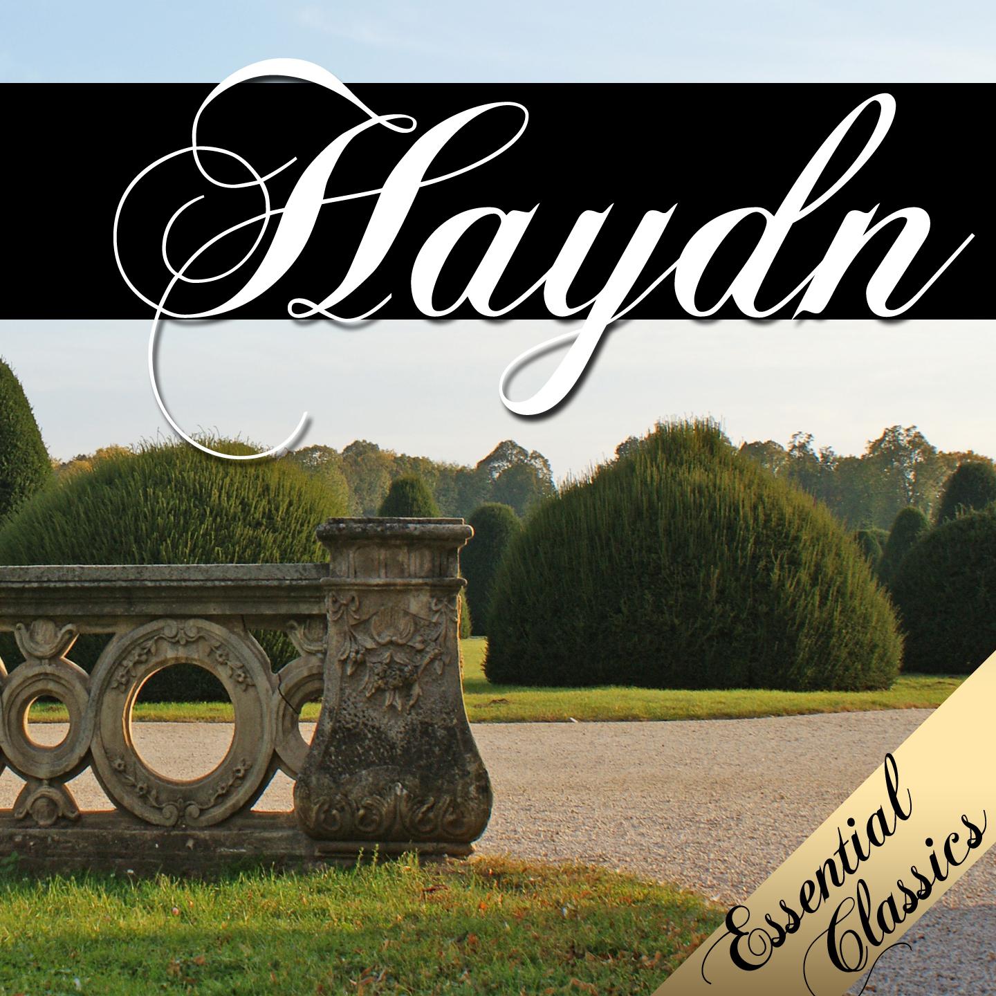 Постер альбома Franz Joseph Haydn