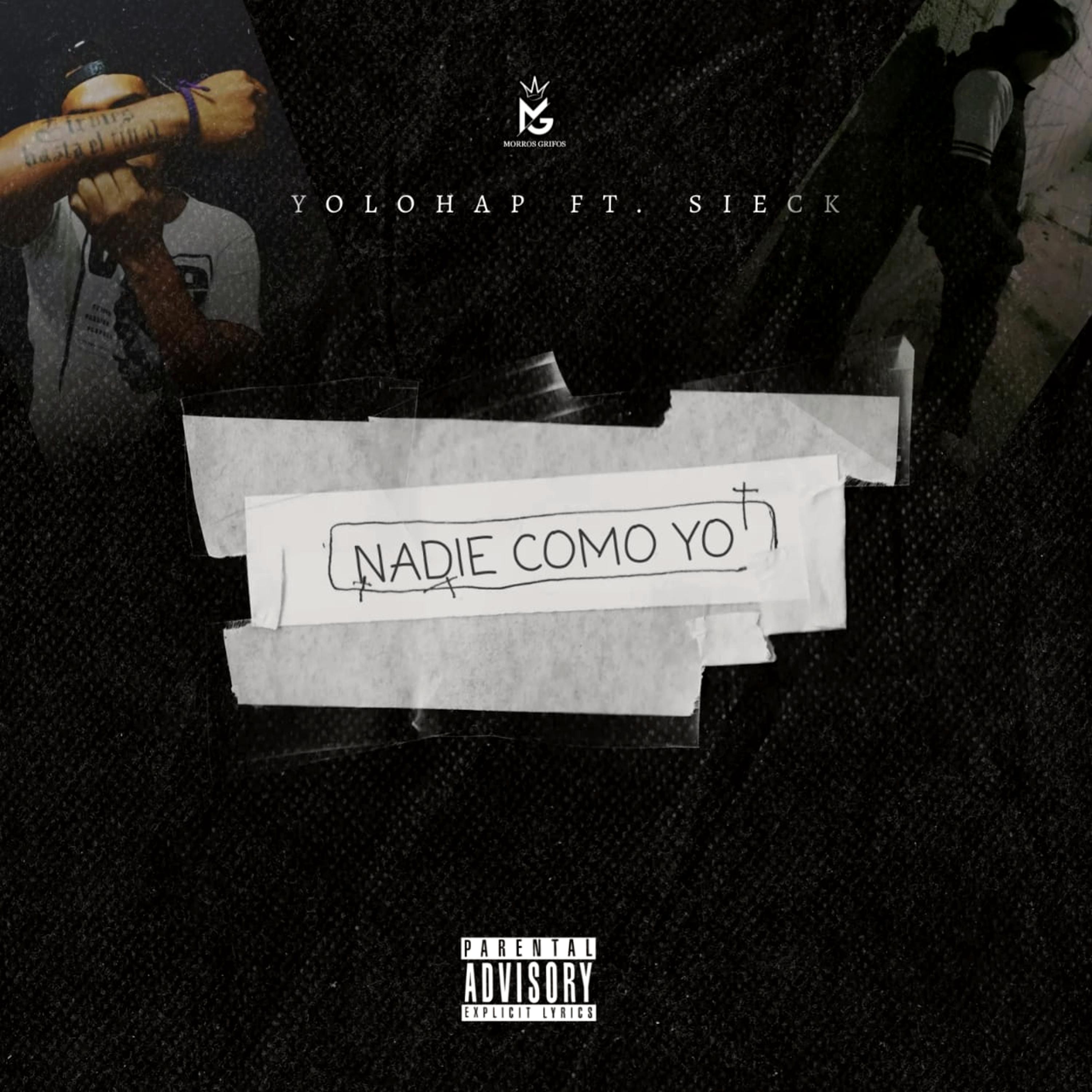 Постер альбома Nadie Como Yo