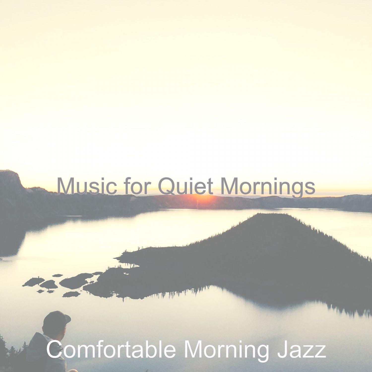 Постер альбома Music for Quiet Mornings