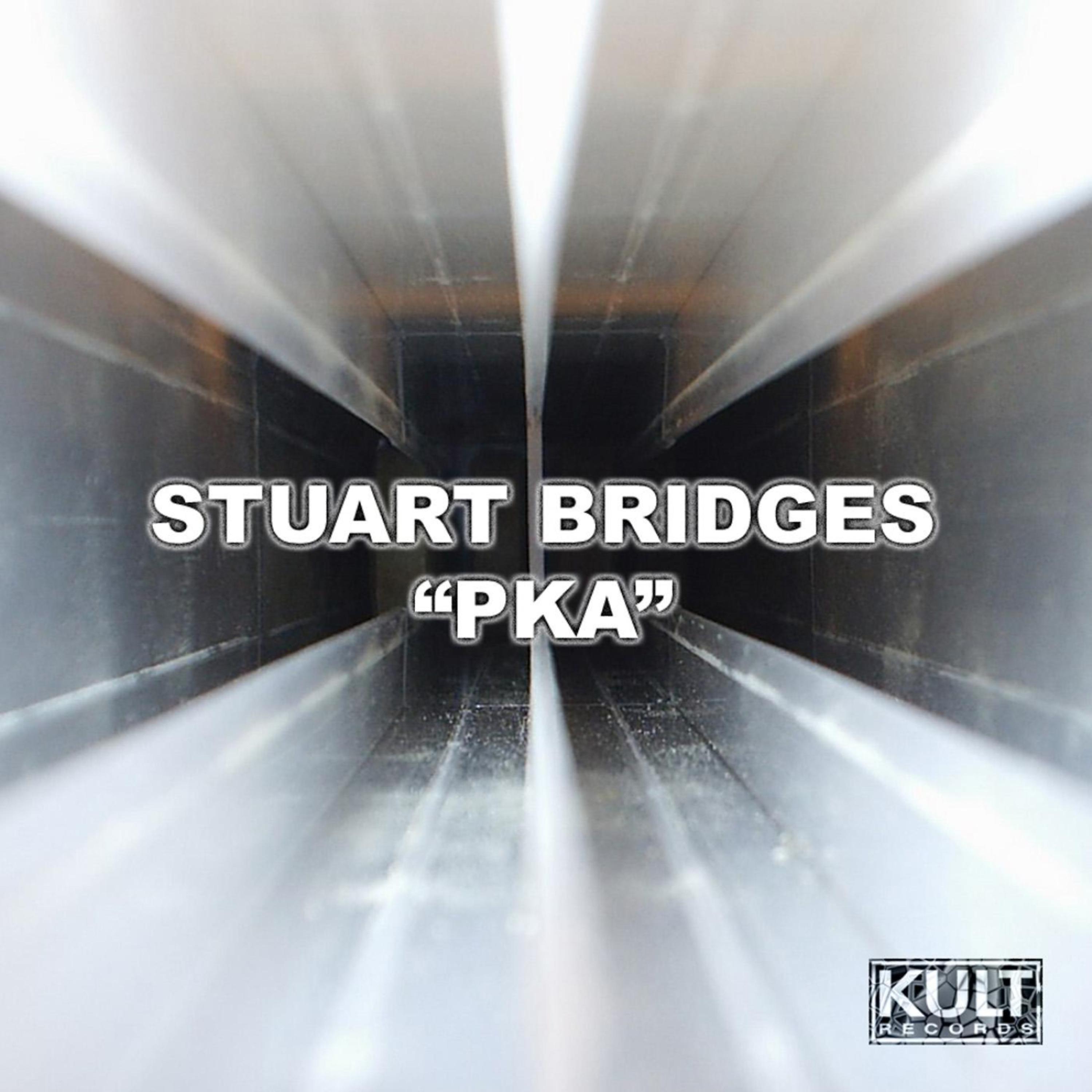 Постер альбома KULT Records Presents:  PKA