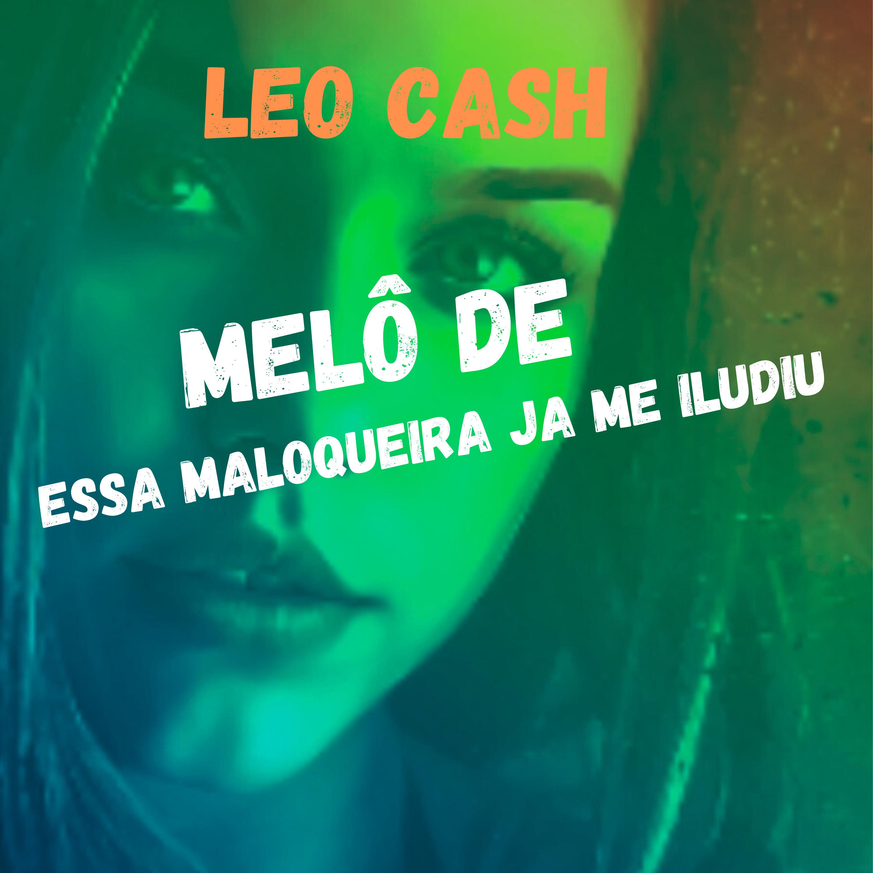 Постер альбома Melô De Essa Maloqueira Já Me Iludiu