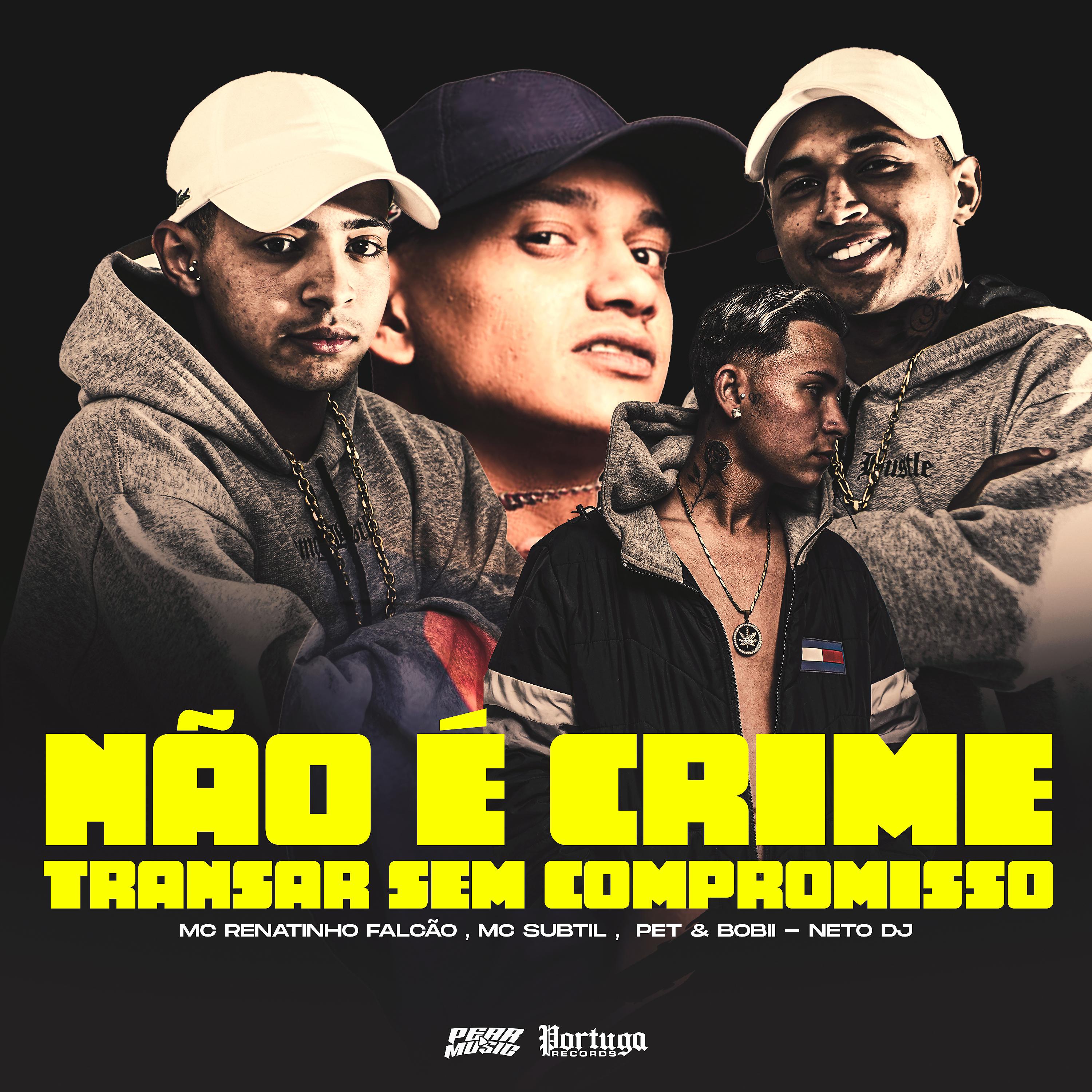 Постер альбома Não É Crime Transar Sem Compromisso