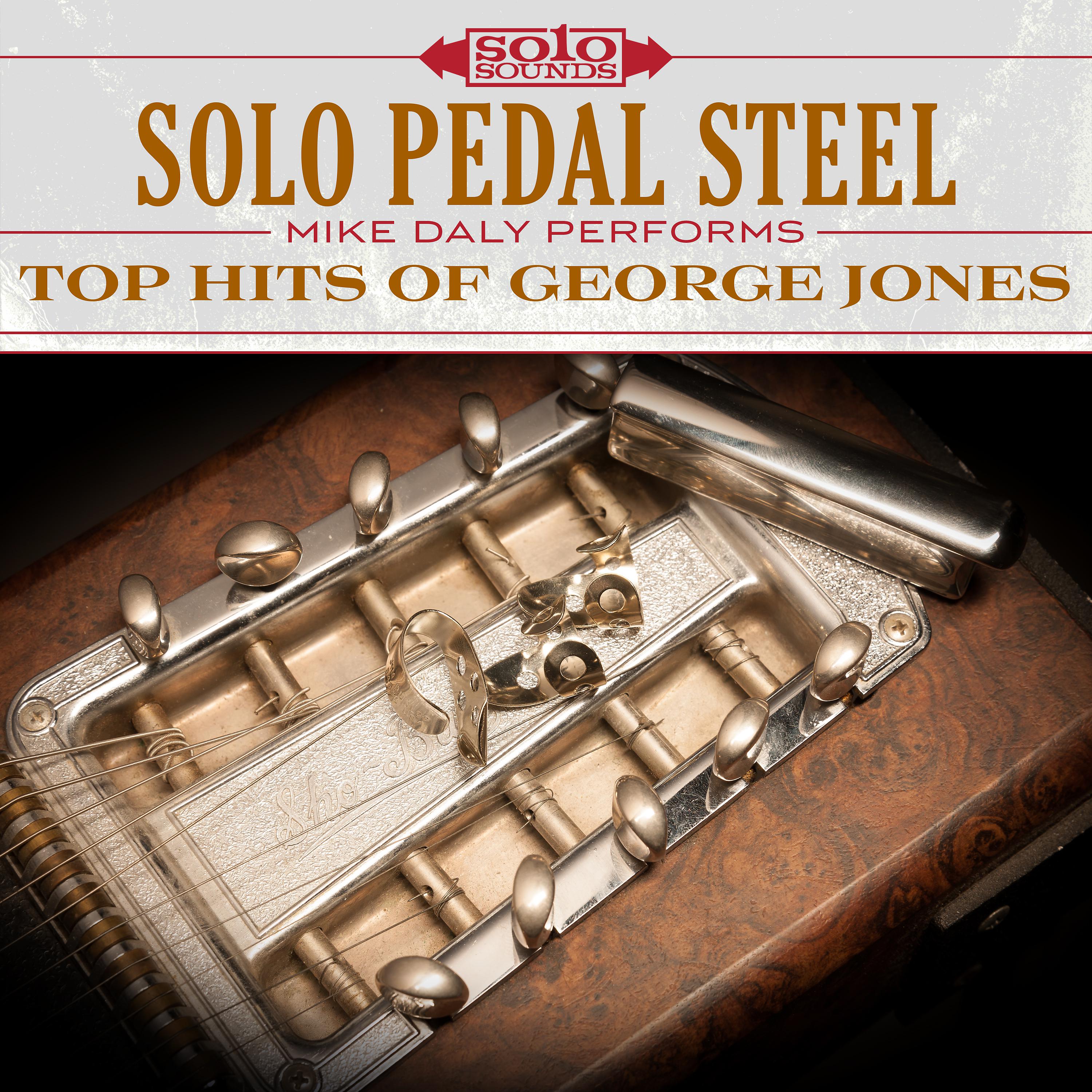 Постер альбома Solo Pedal Steel: Top Hits of George Jones