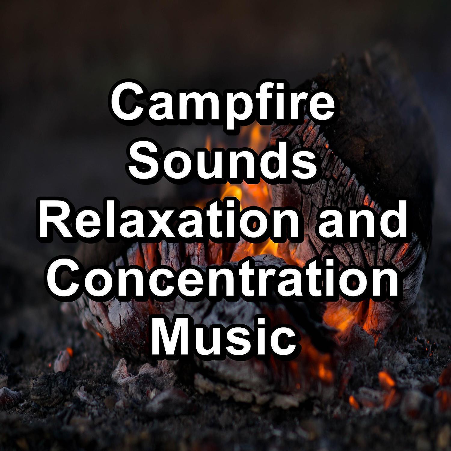 Постер альбома Campfire Sounds Relaxation and Concentration Music