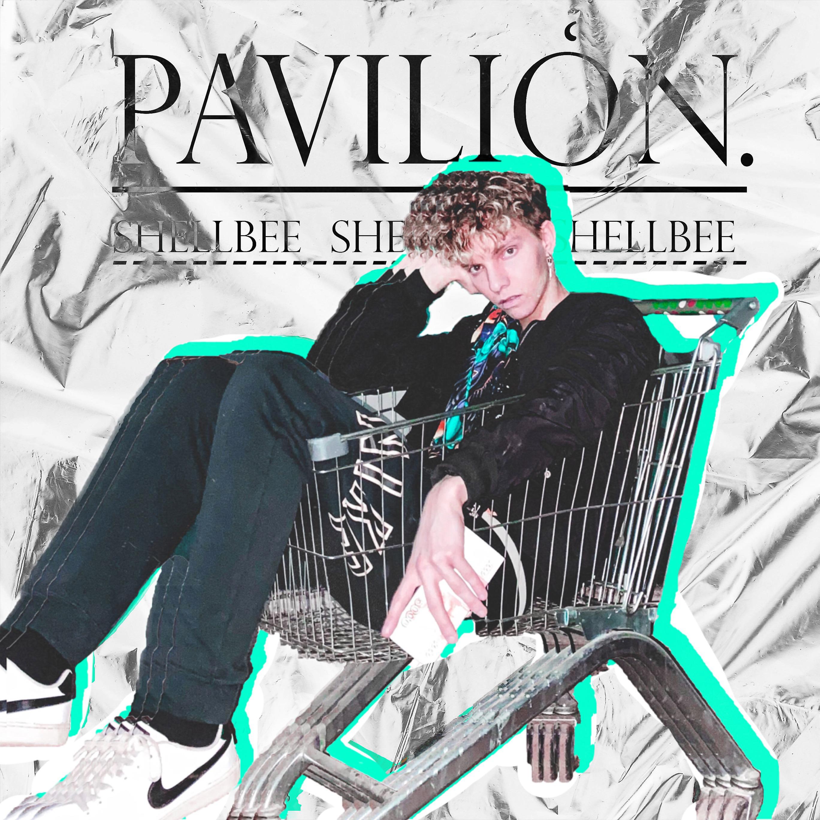 Постер альбома Pavilion