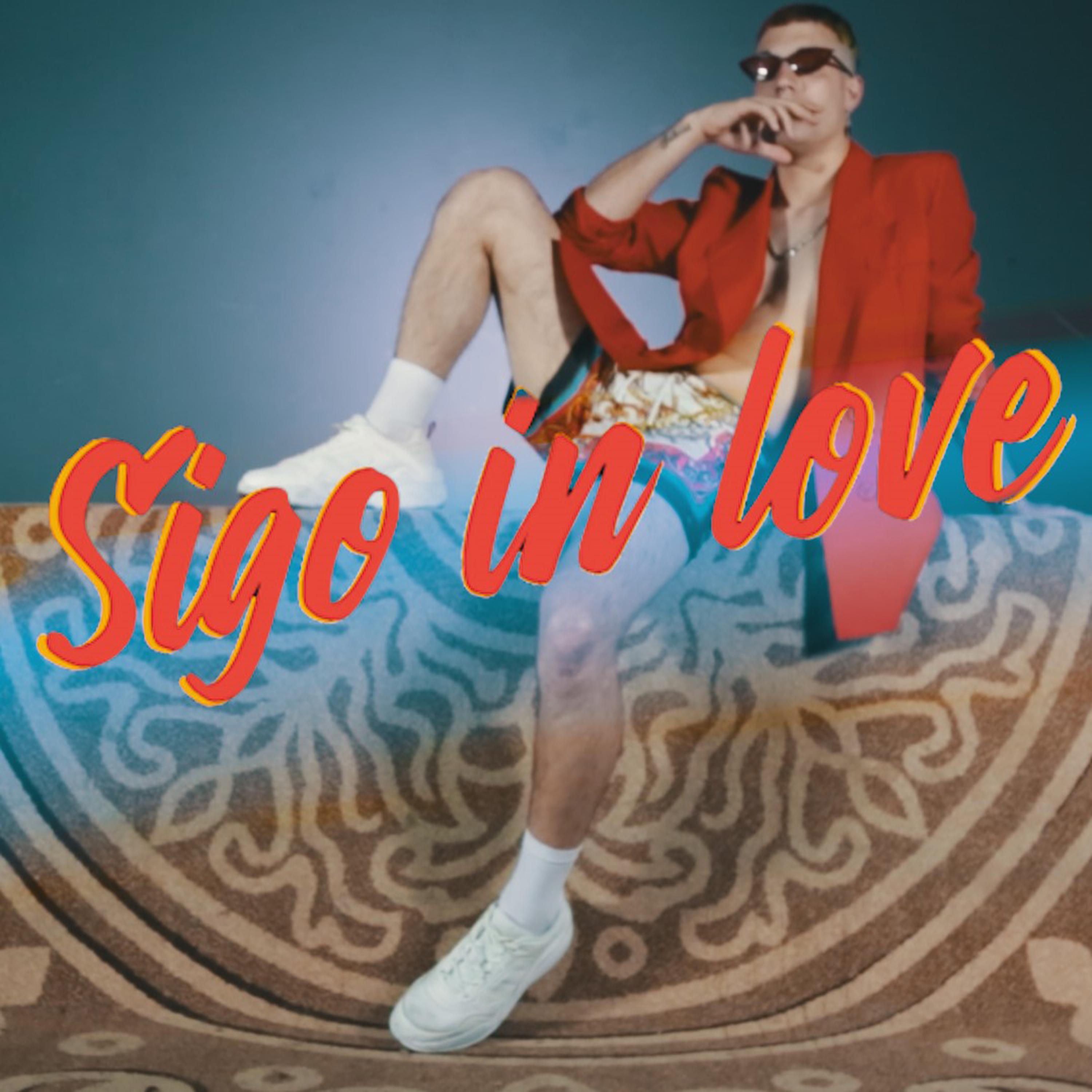 Постер альбома Sigo In Love