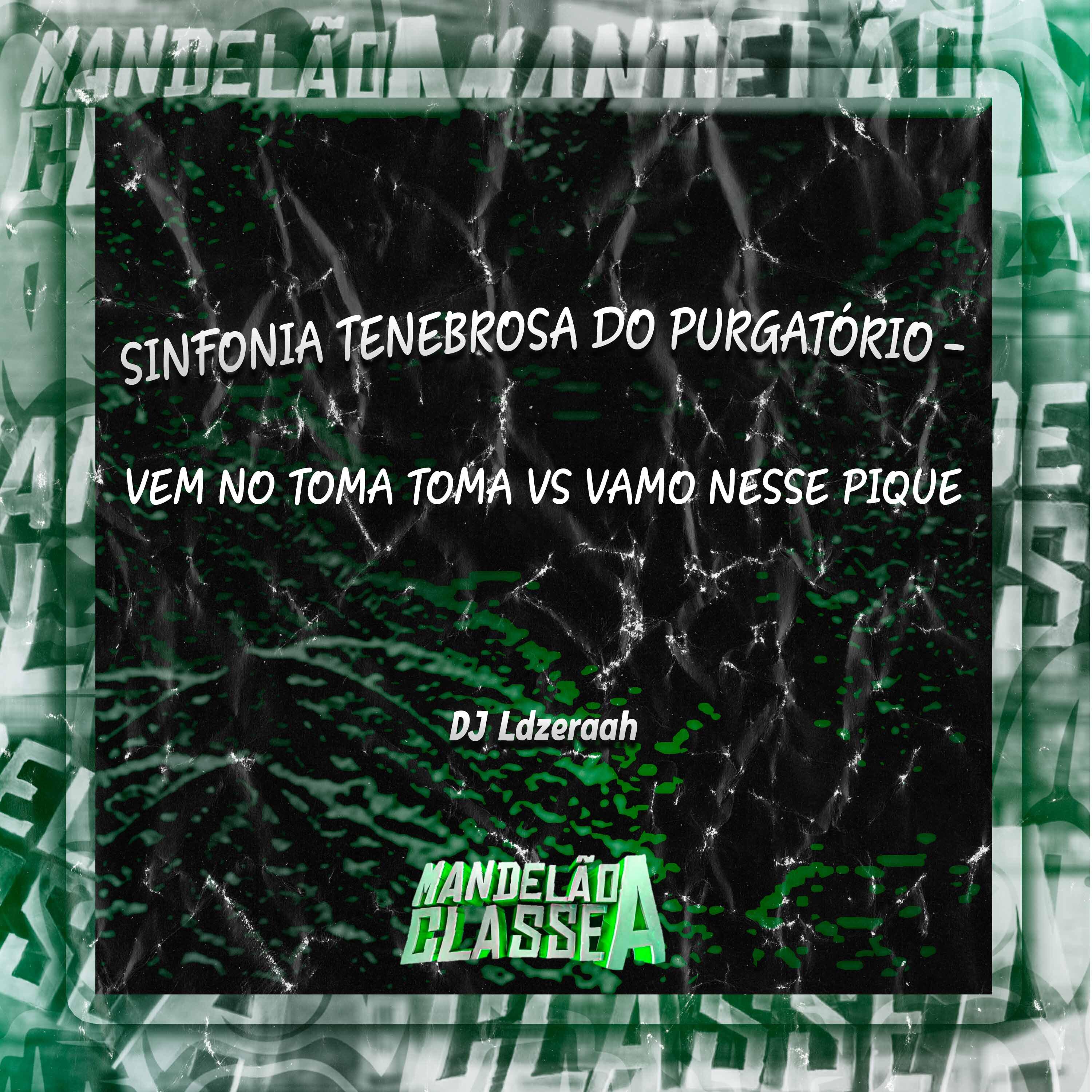 Постер альбома Sinfonia Tenebrosa do Purgatório -Vem no Toma Toma Vs Vamo Nesse Pique