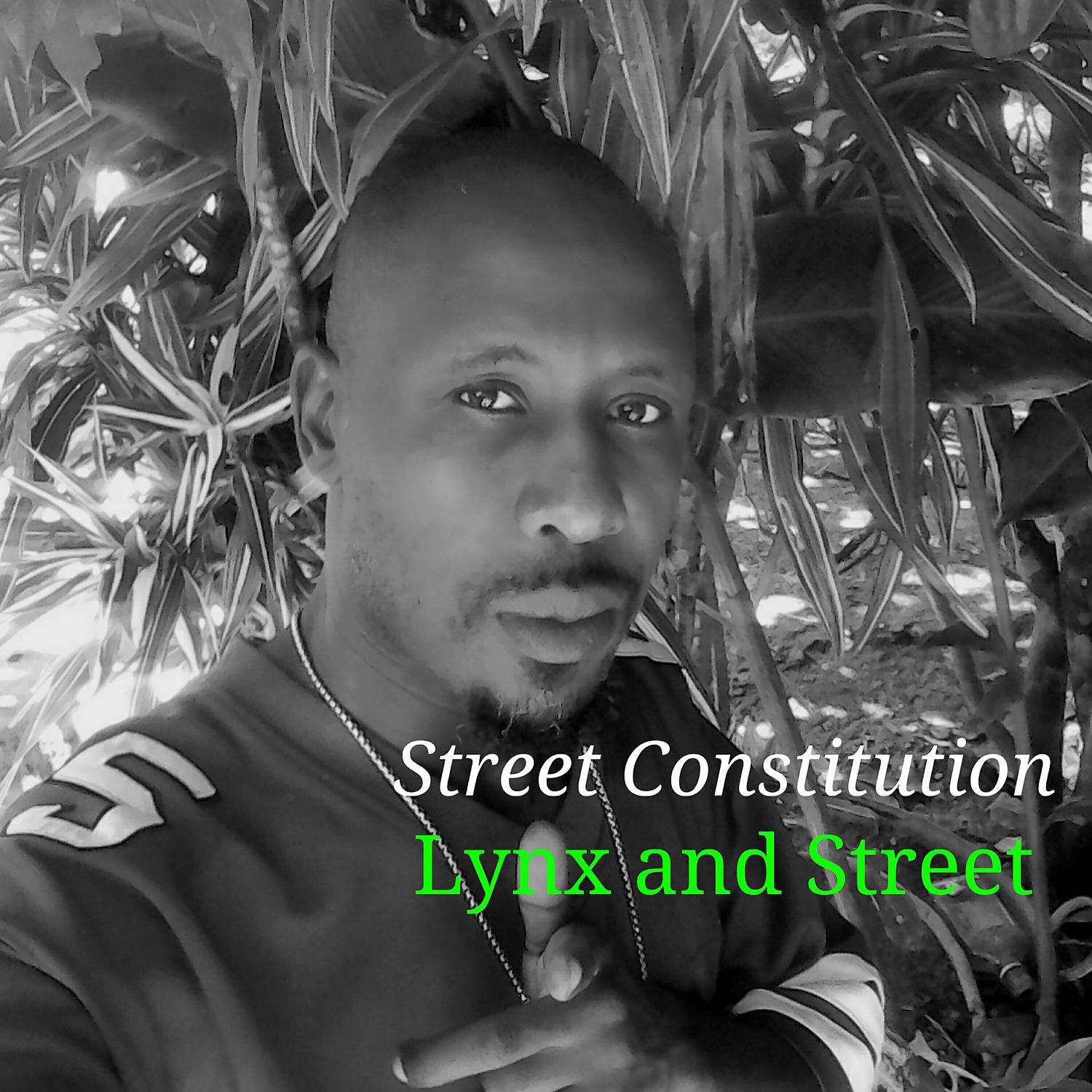 Постер альбома Street Constitution
