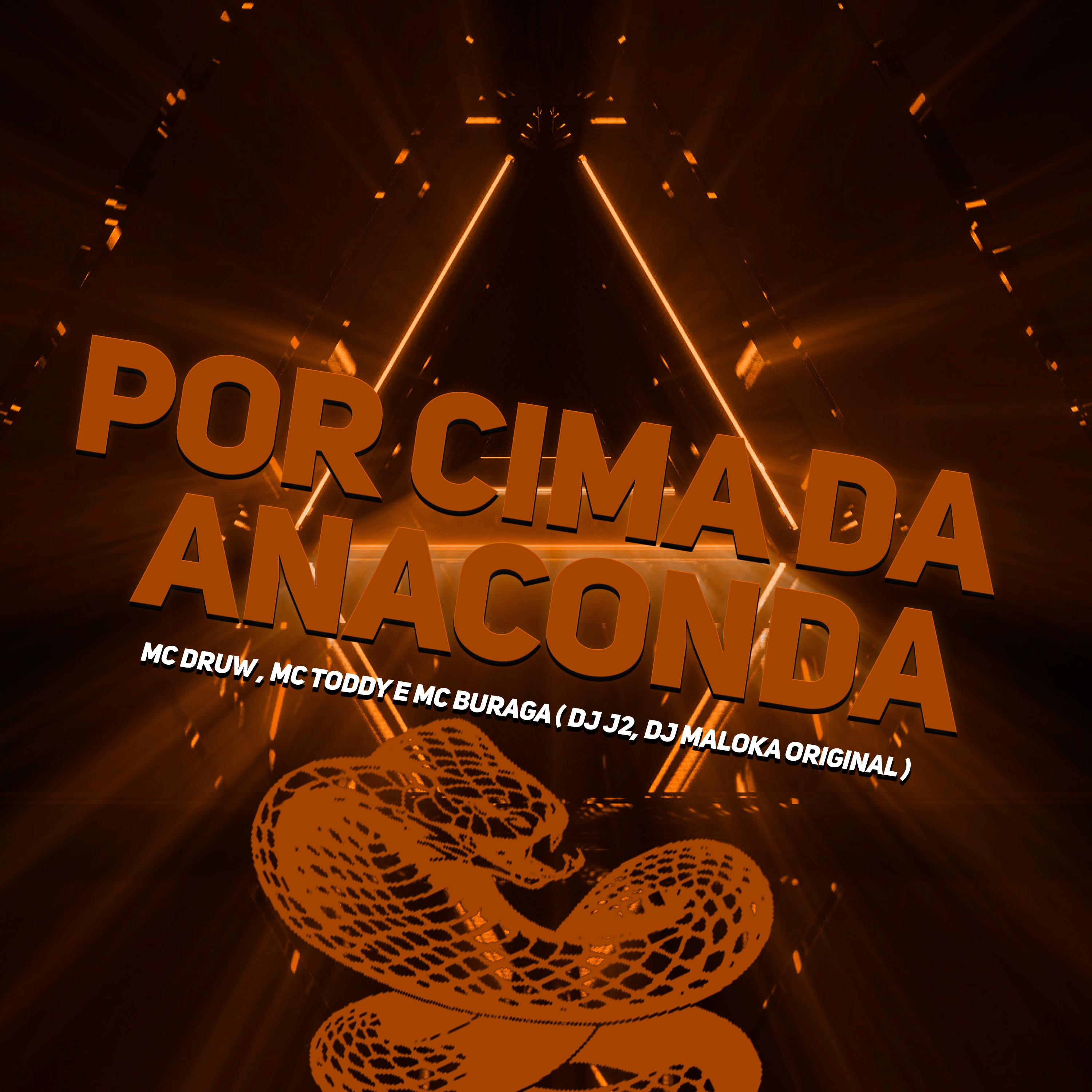 Постер альбома Por Cima da Anaconda