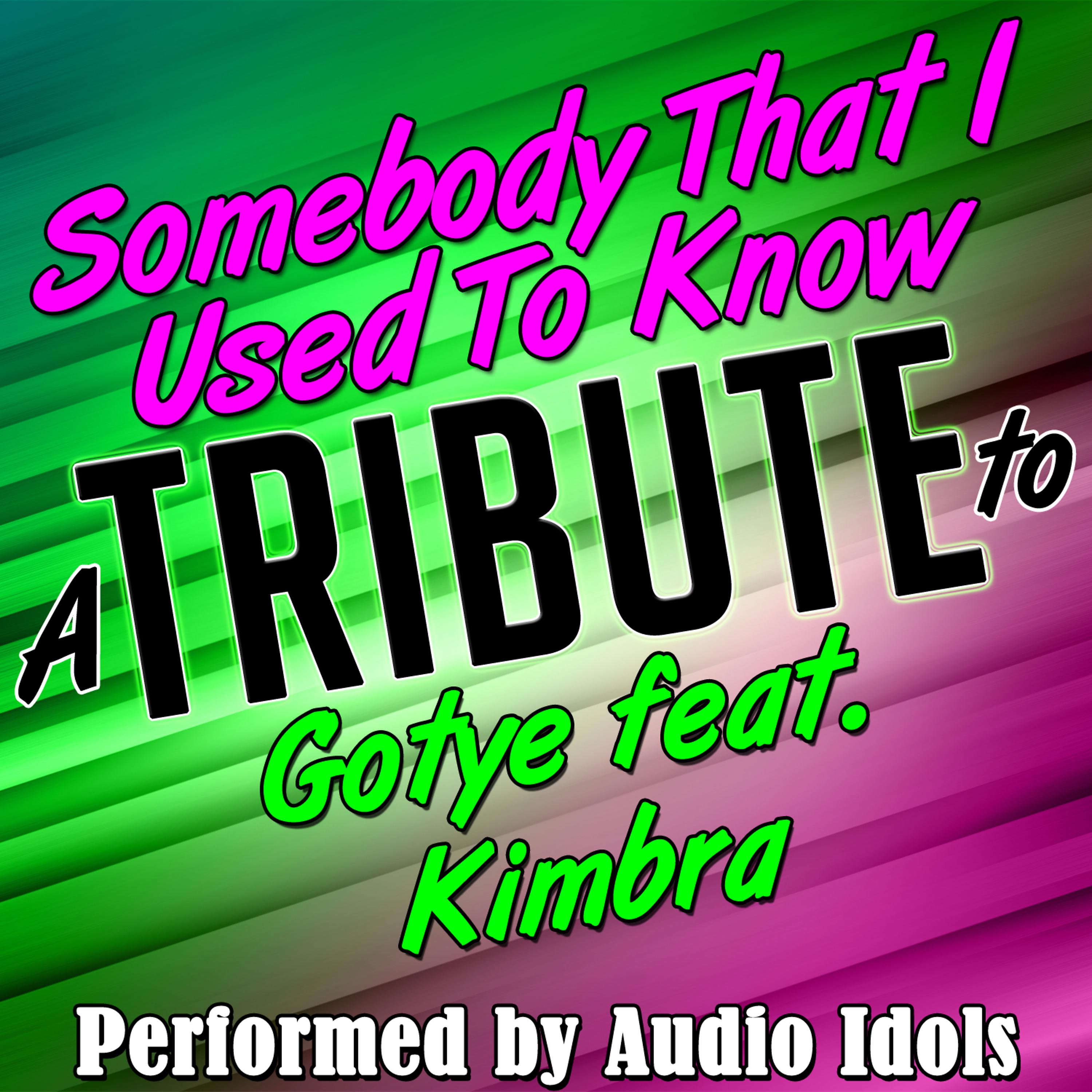 Постер альбома Somebody That I Used to Know (A Tribute to Gotye Feat. Kimbra) - Single