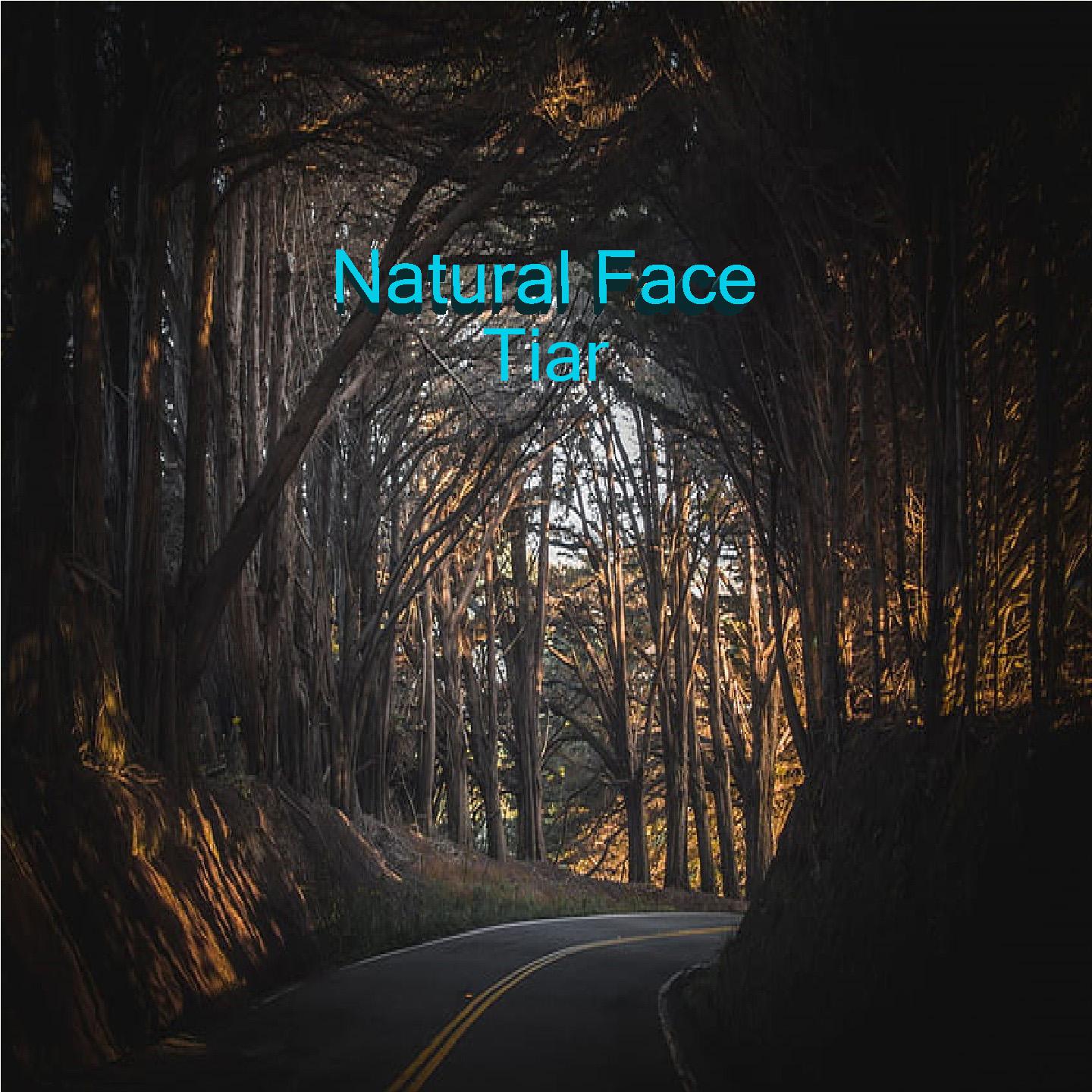 Постер альбома Natural Face