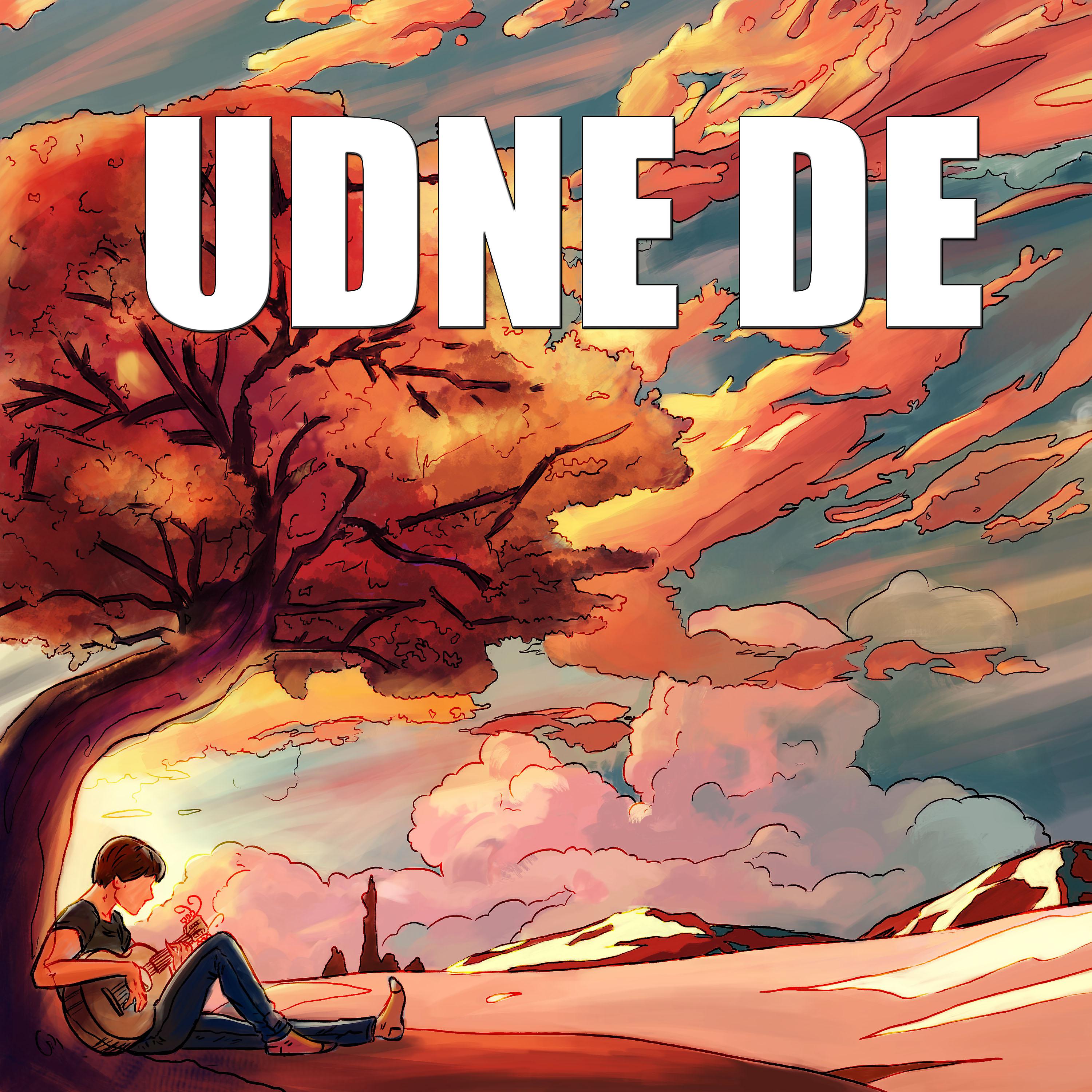 Постер альбома Udne De