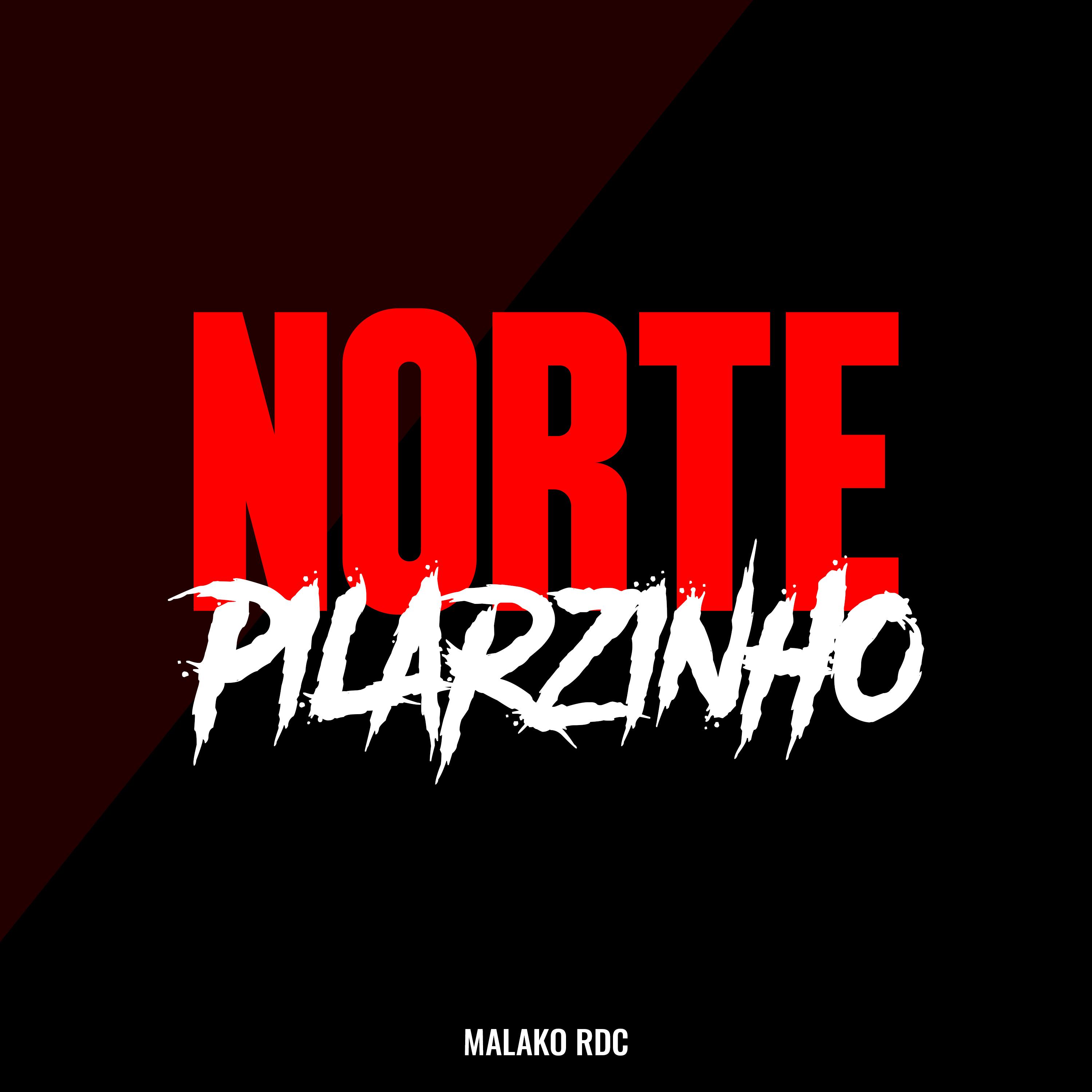 Постер альбома Norte Pilarzinho