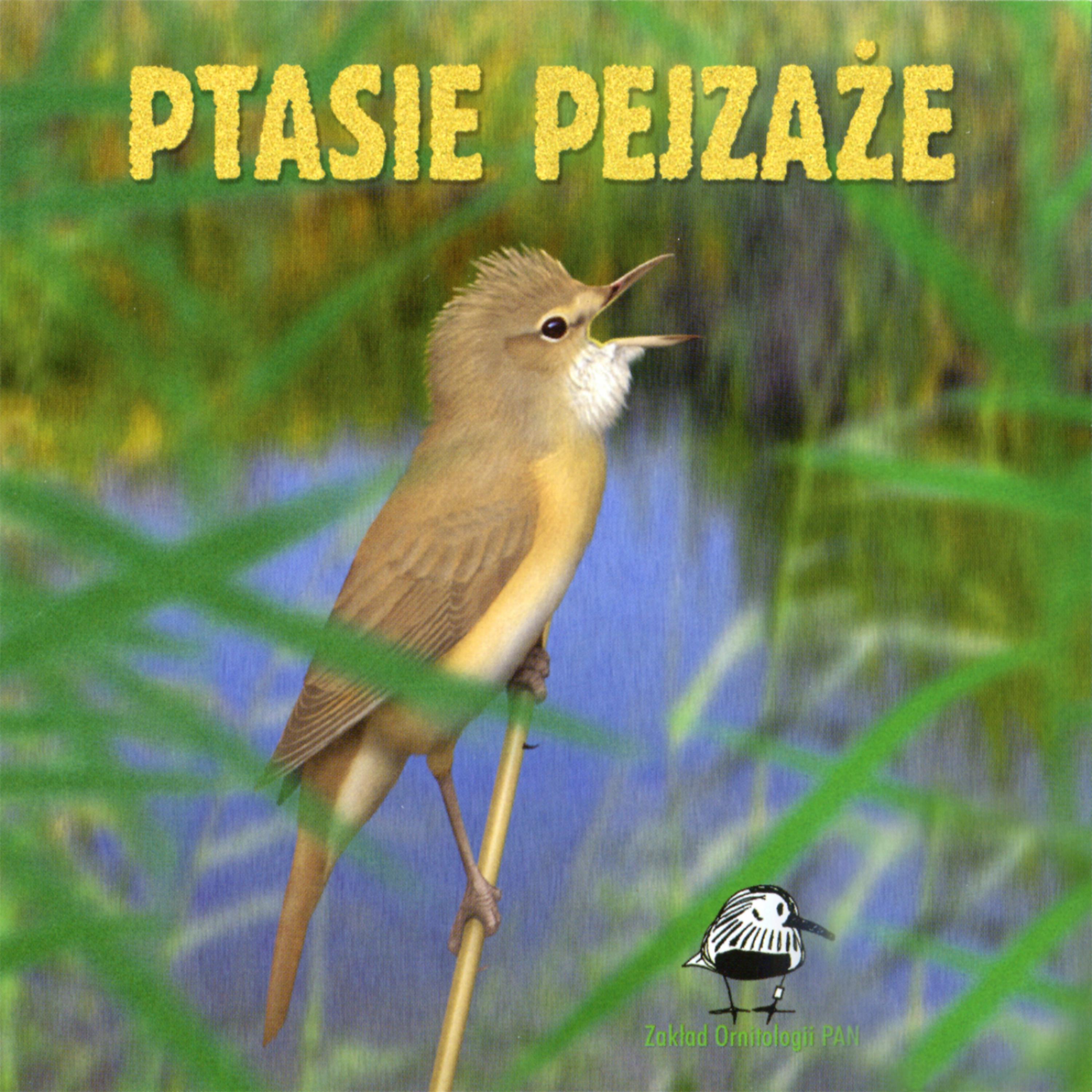 Постер альбома Bird Landscapes