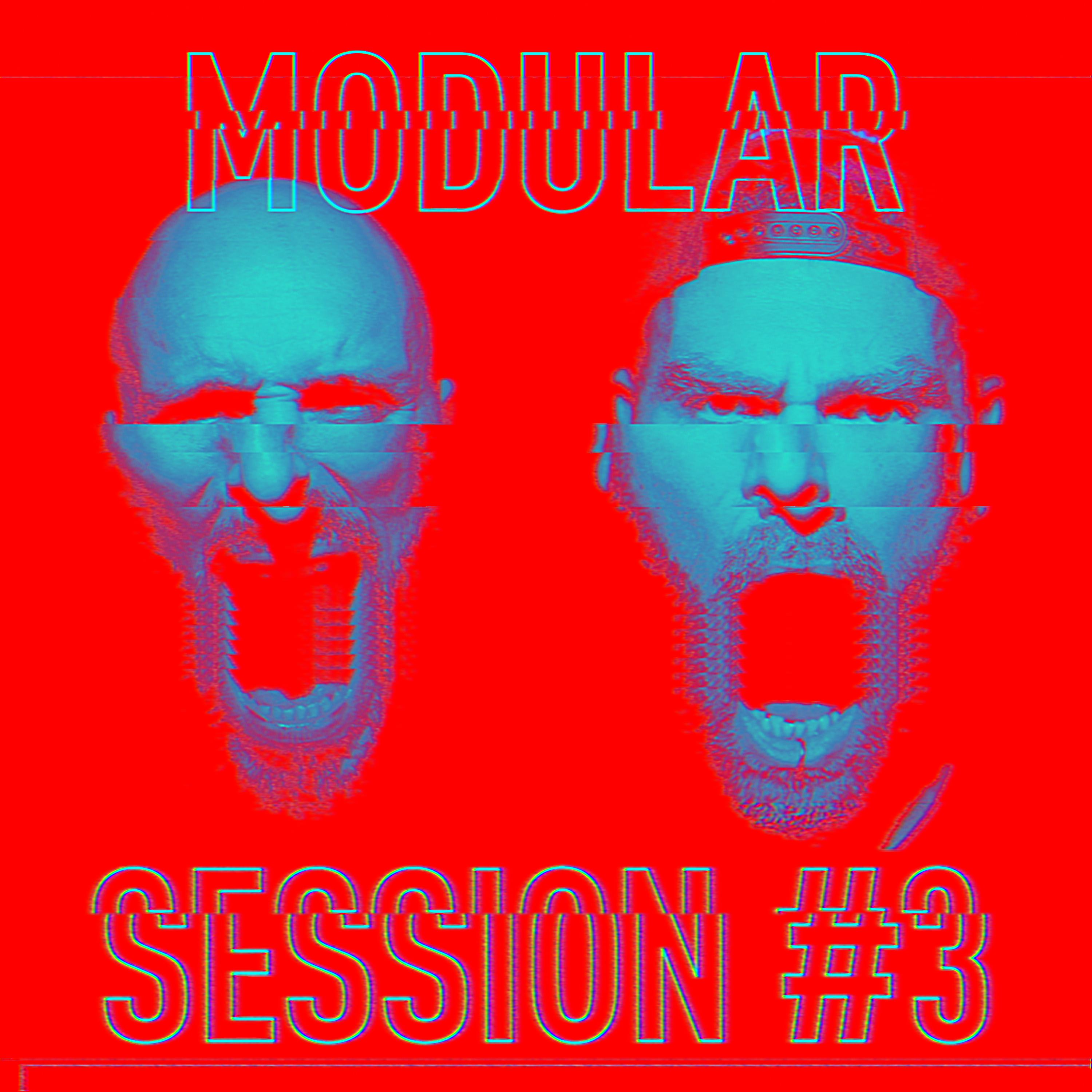 Постер альбома Modular Session #3