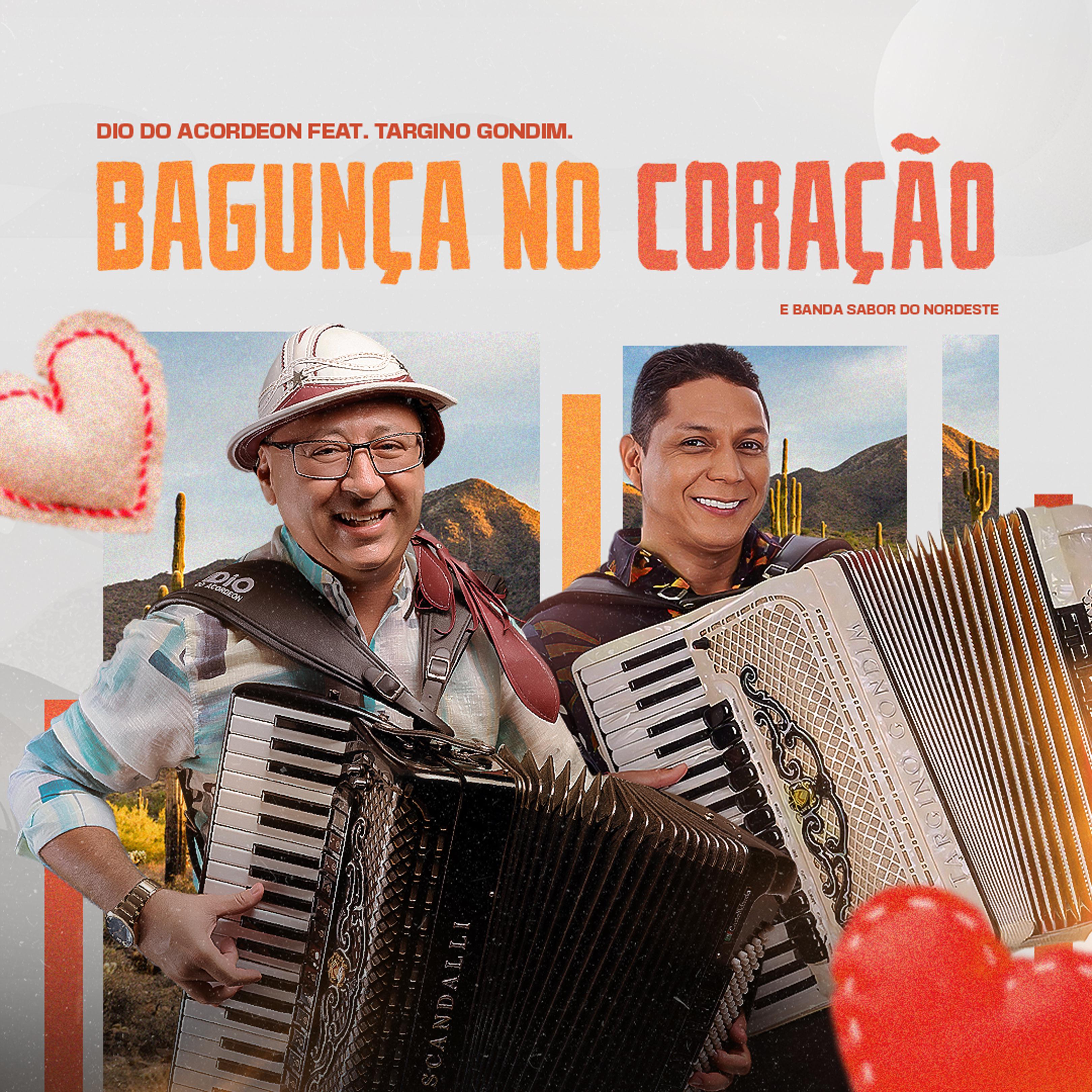 Постер альбома Bagunça no Coração
