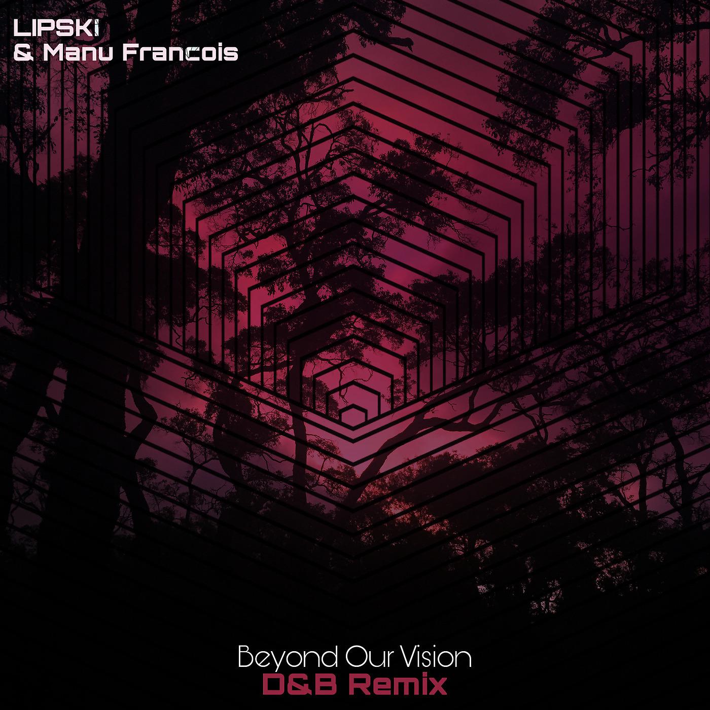 Постер альбома Beyond Our Vision (D&B Remix)