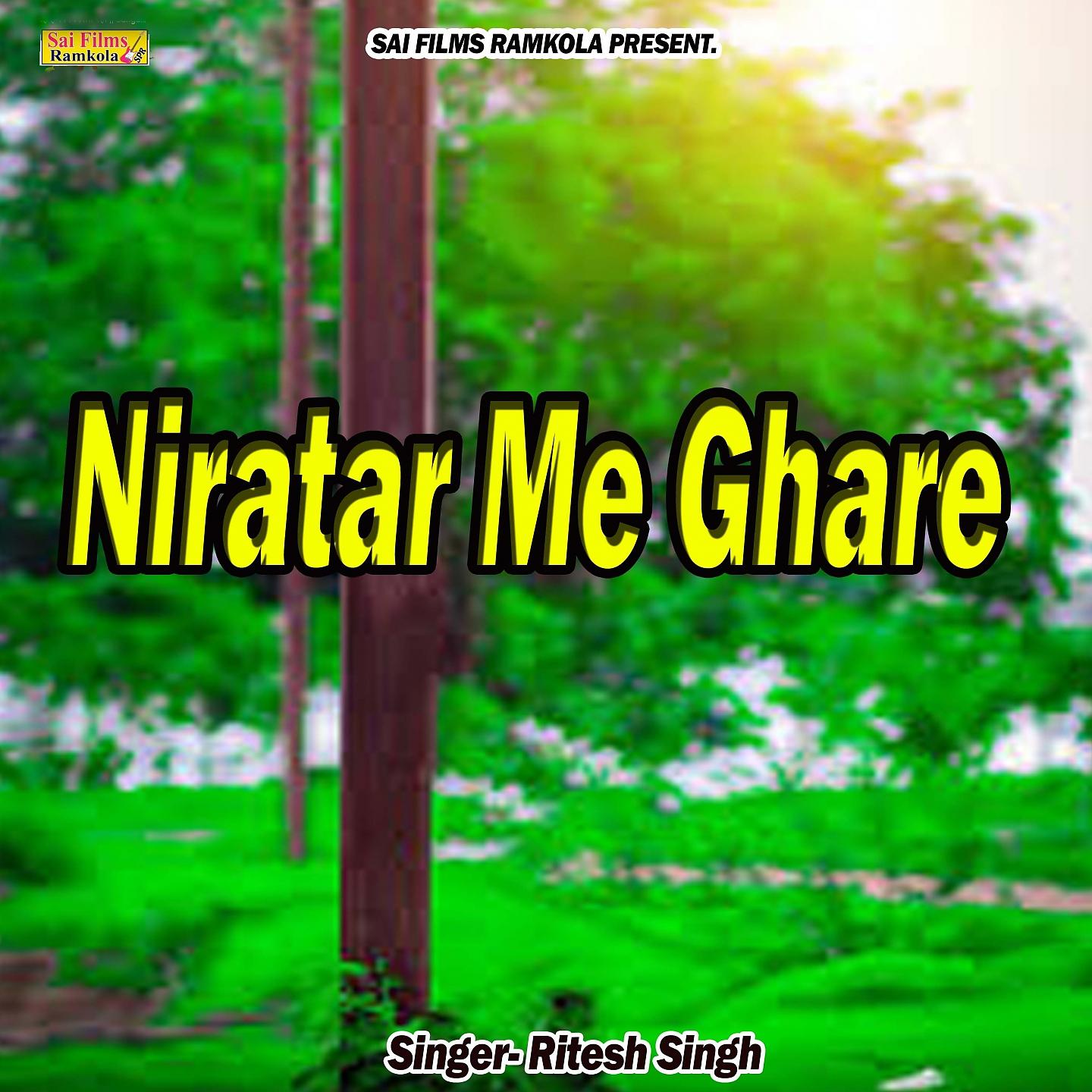 Постер альбома Niratar Me Ghare