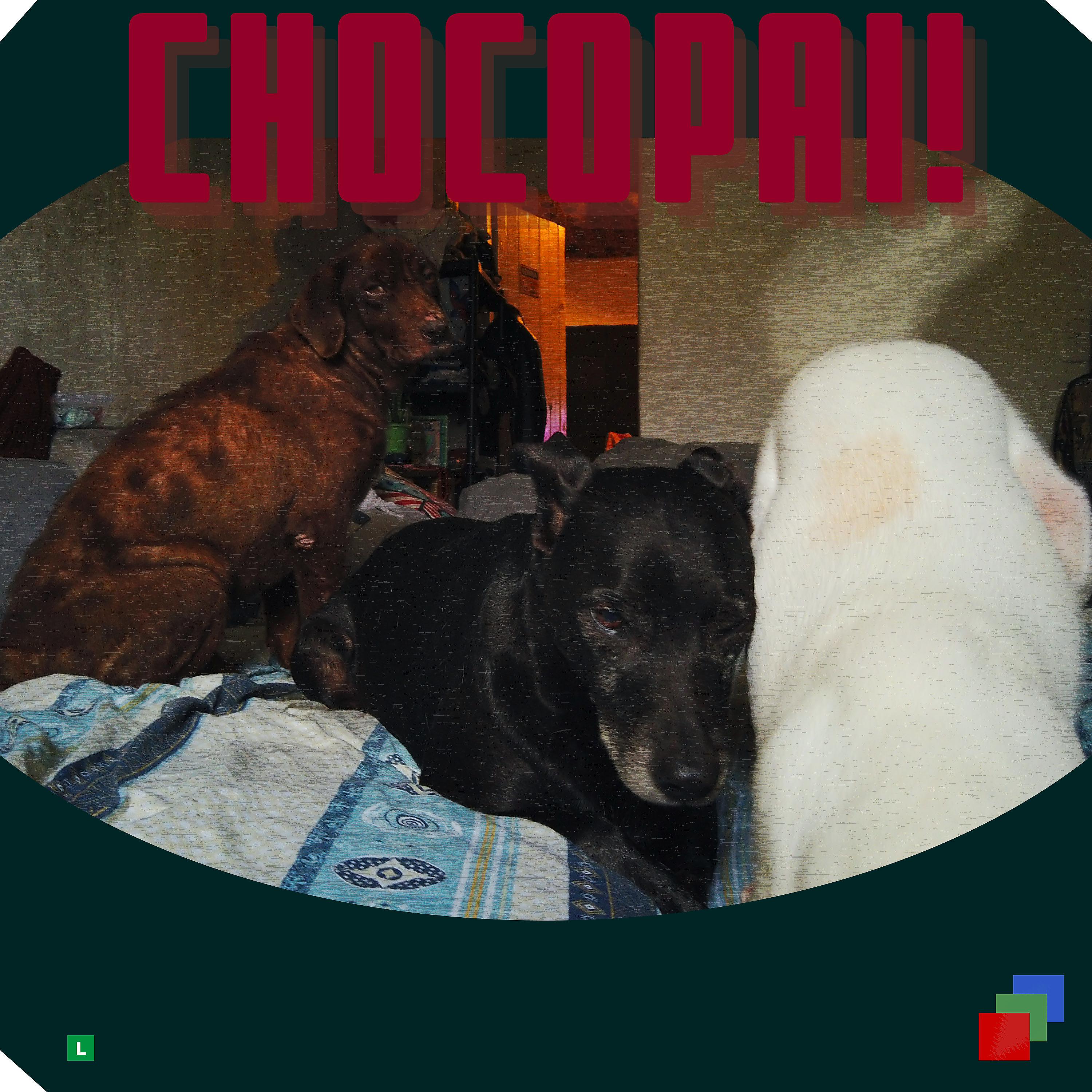 Постер альбома Chocopai
